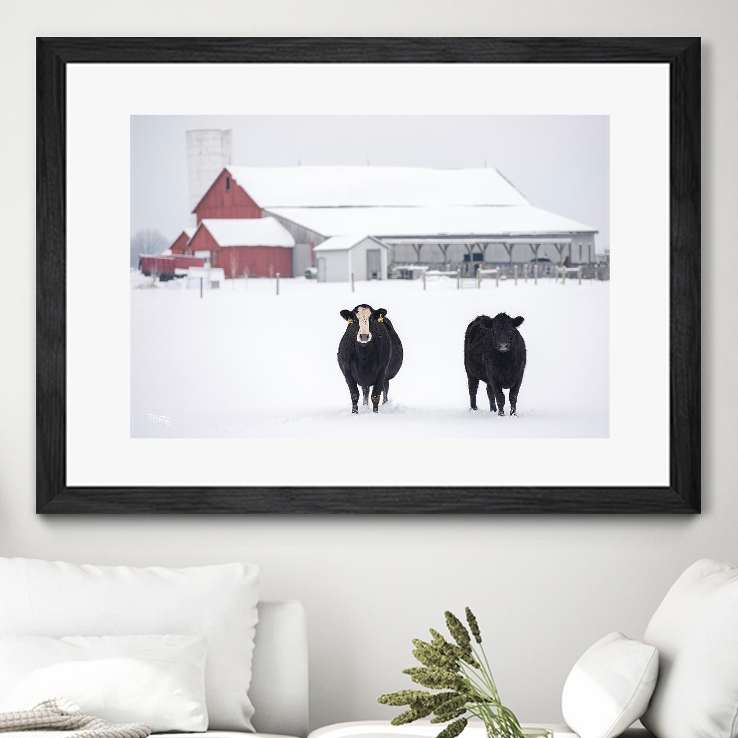 Cookies and Cream by Matthew Platz on GIANT ART - multicolor photography; animals