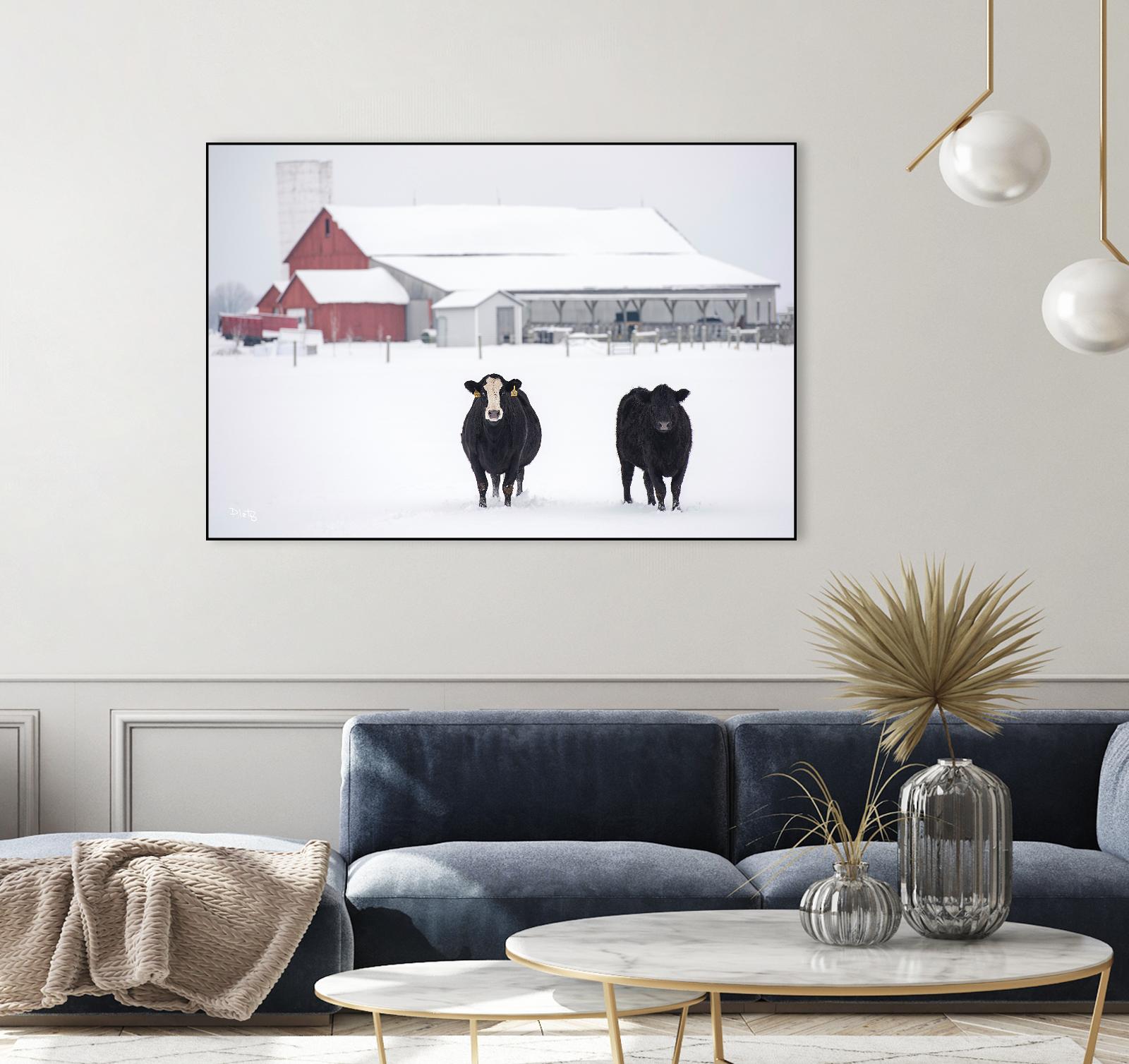 Cookies and Cream by Matthew Platz on GIANT ART - multicolor photography; animals