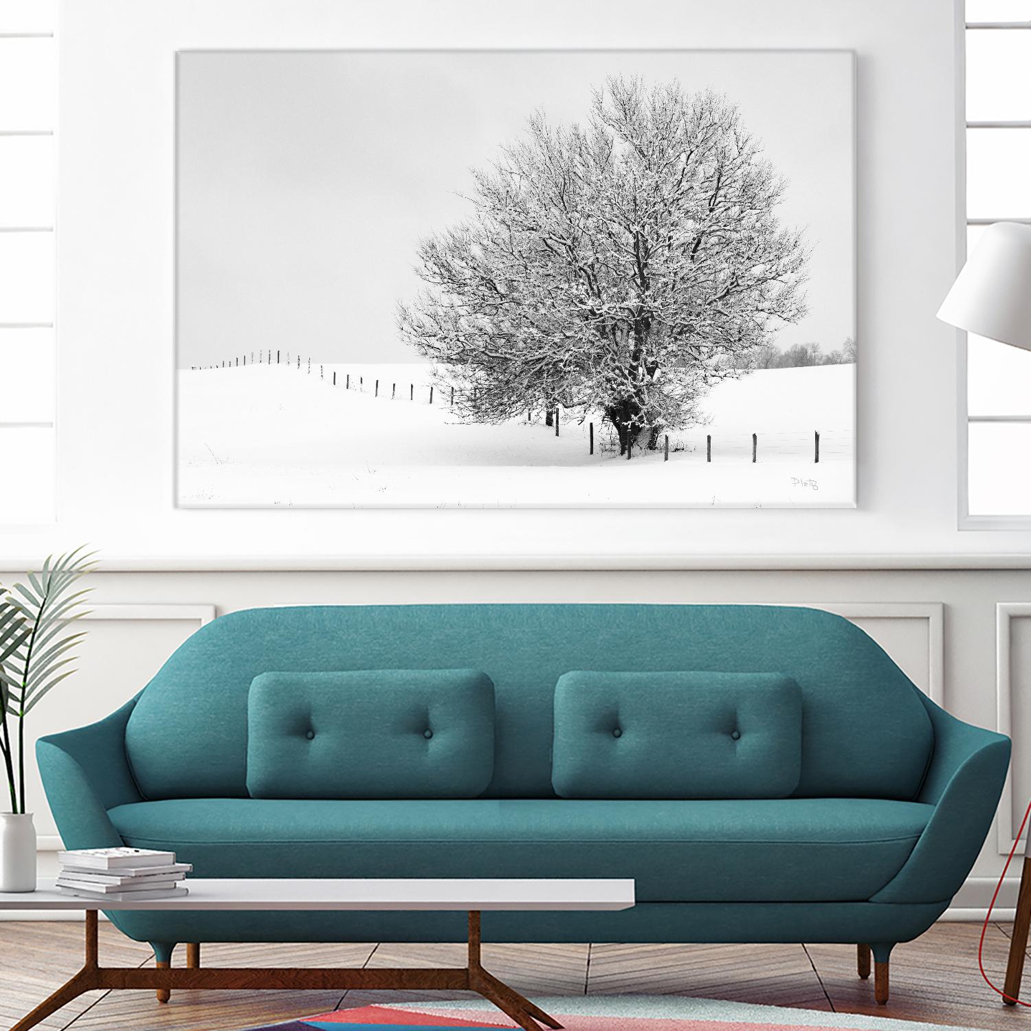 Depth of Field by Matthew Platz on GIANT ART - multicolor photography; landscapes