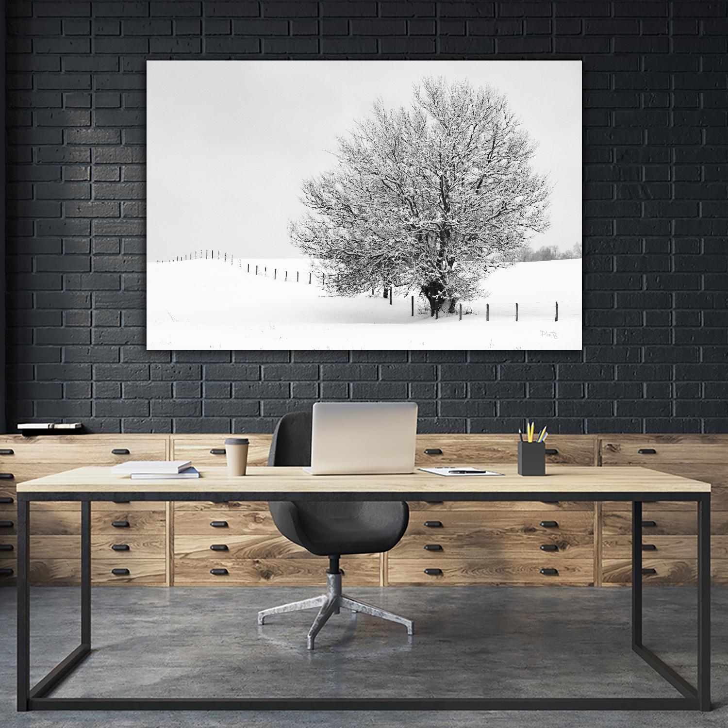 Depth of Field by Matthew Platz on GIANT ART - multicolor photography; landscapes