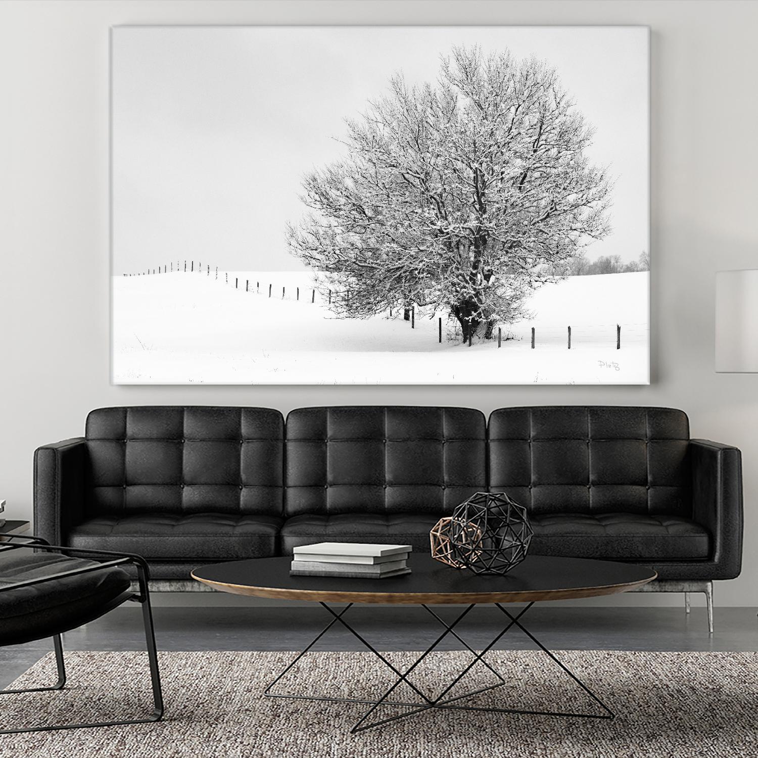 Depth of Field by Matthew Platz on GIANT ART - multicolor photography; landscapes