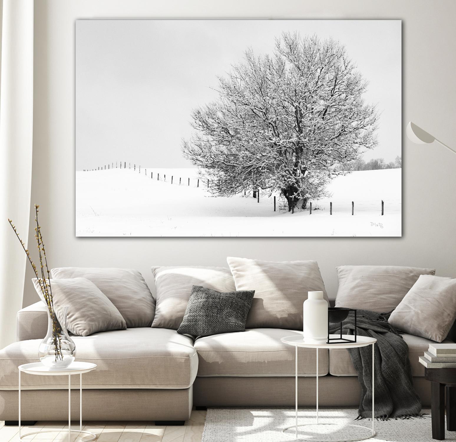 Depth of Field by Matthew Platz on GIANT ART - multicolor photography; landscapes