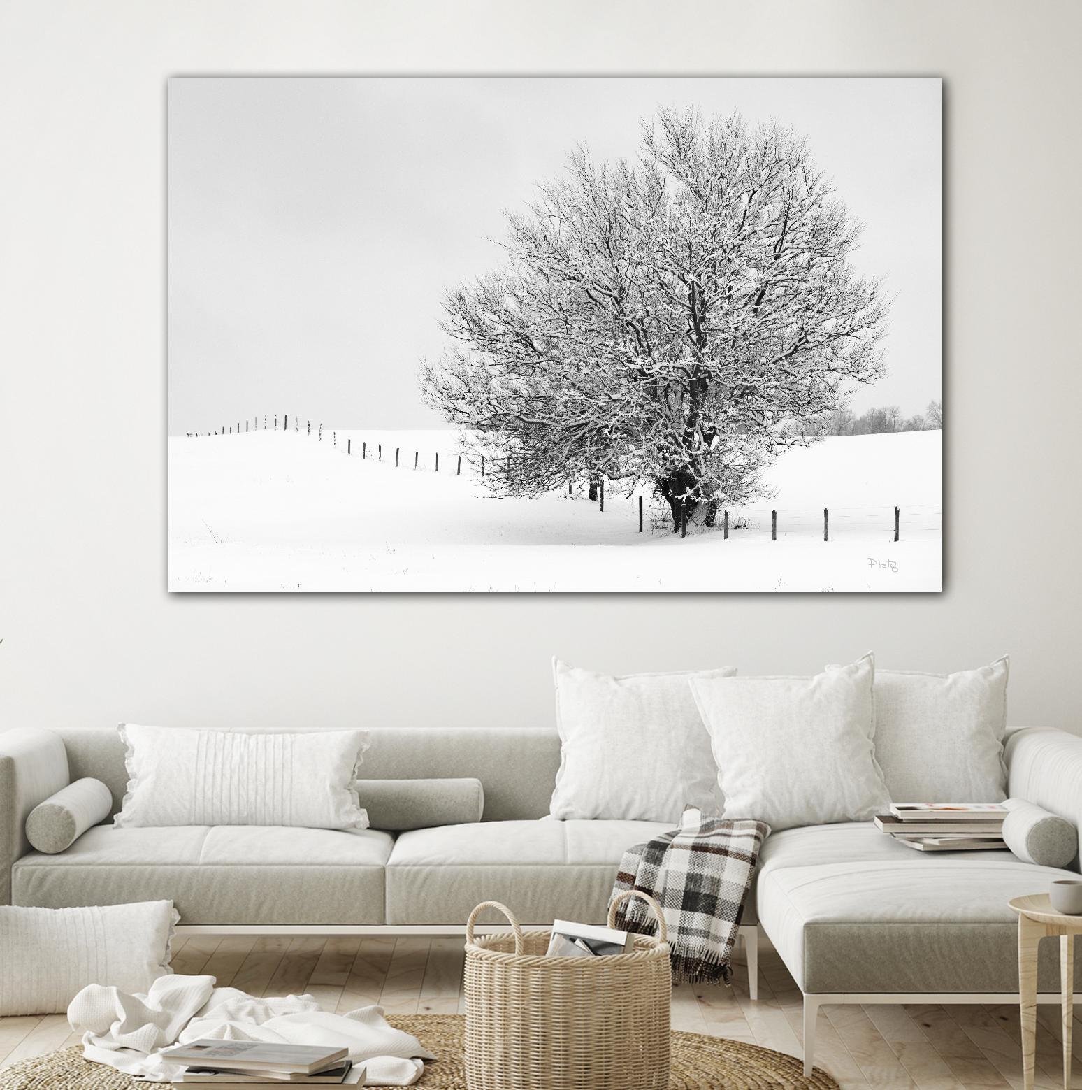 Depth of Field by Matthew Platz on GIANT ART - multicolor photography; landscapes