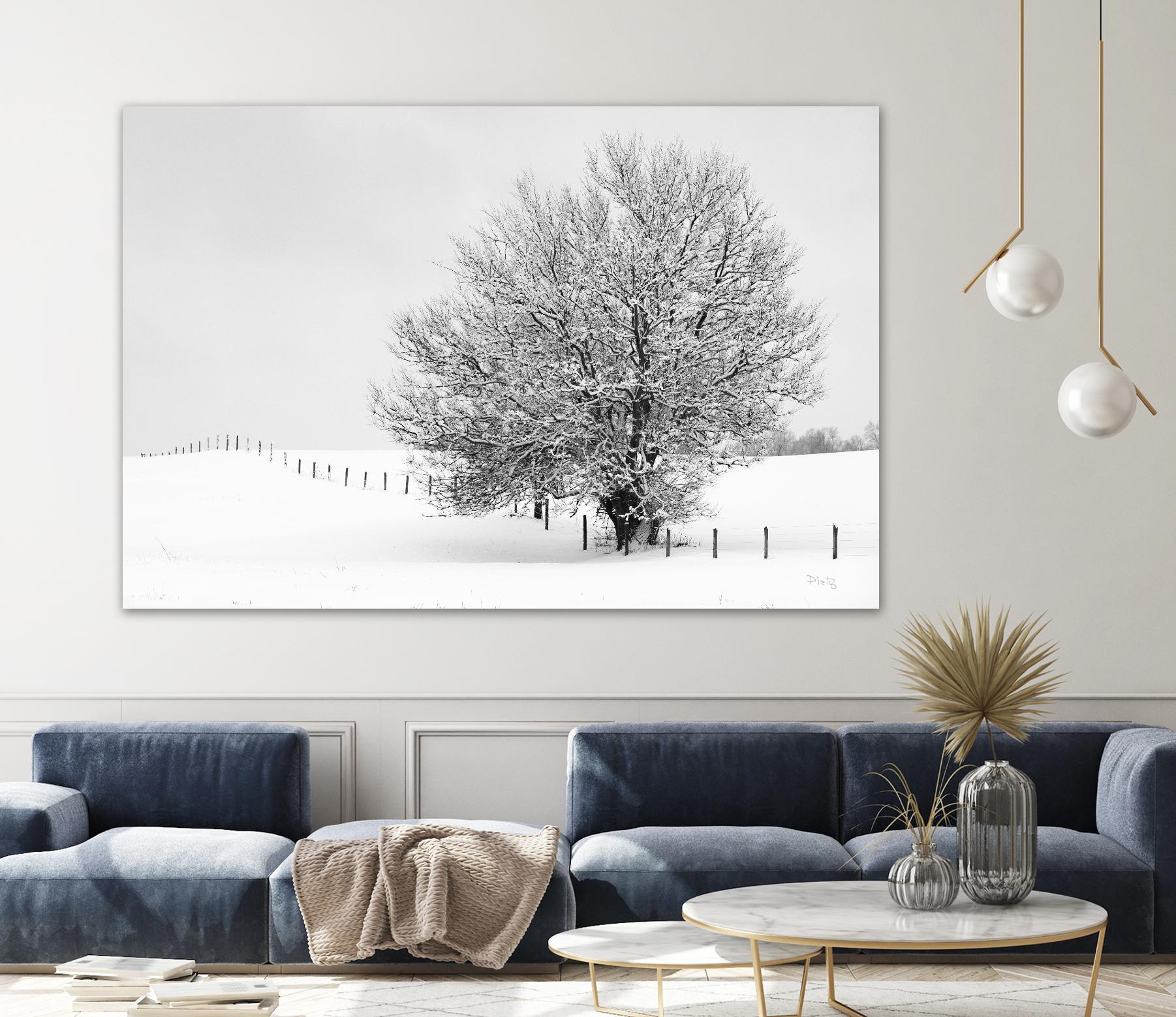 Depth of Field by Matthew Platz on GIANT ART - multicolor photography; landscapes