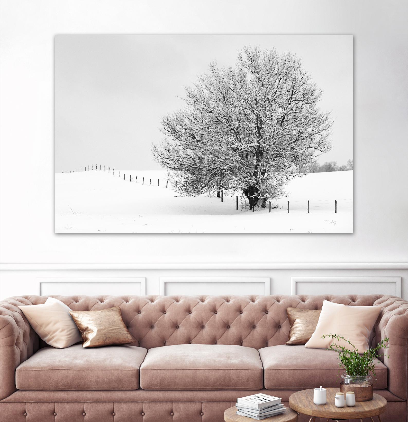 Depth of Field by Matthew Platz on GIANT ART - multicolor photography; landscapes