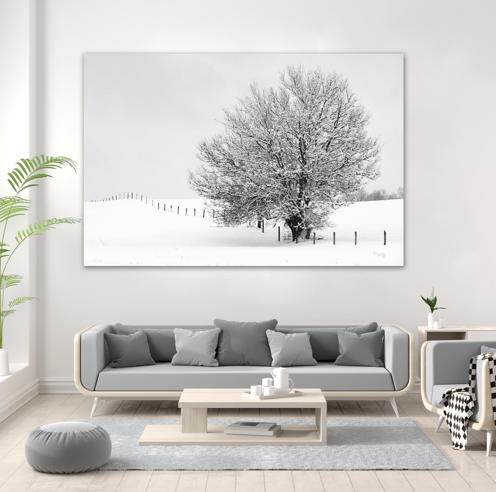 Depth of Field by Matthew Platz on GIANT ART - multicolor photography; landscapes