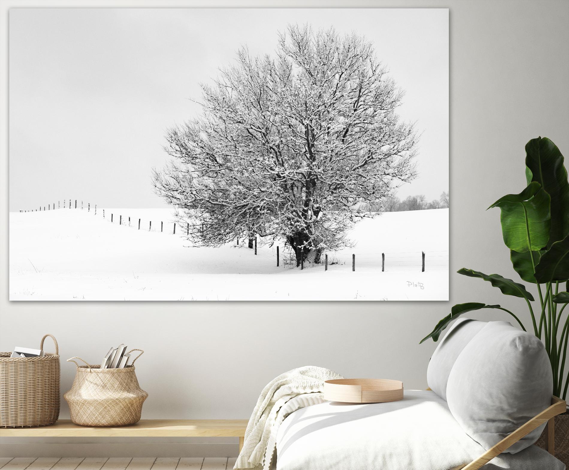 Depth of Field by Matthew Platz on GIANT ART - multicolor photography; landscapes