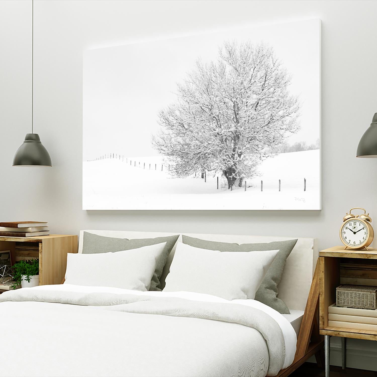 Depth of Field by Matthew Platz on GIANT ART - multicolor photography; landscapes