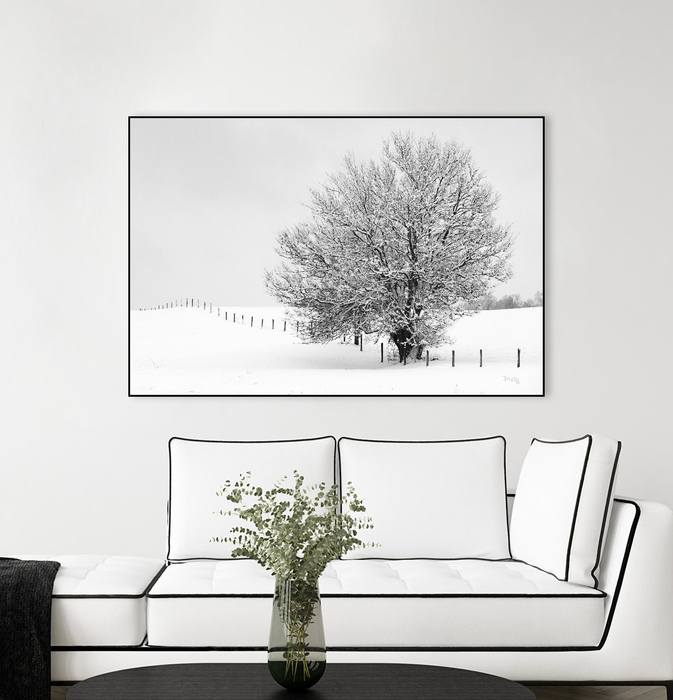 Depth of Field by Matthew Platz on GIANT ART - multicolor photography; landscapes