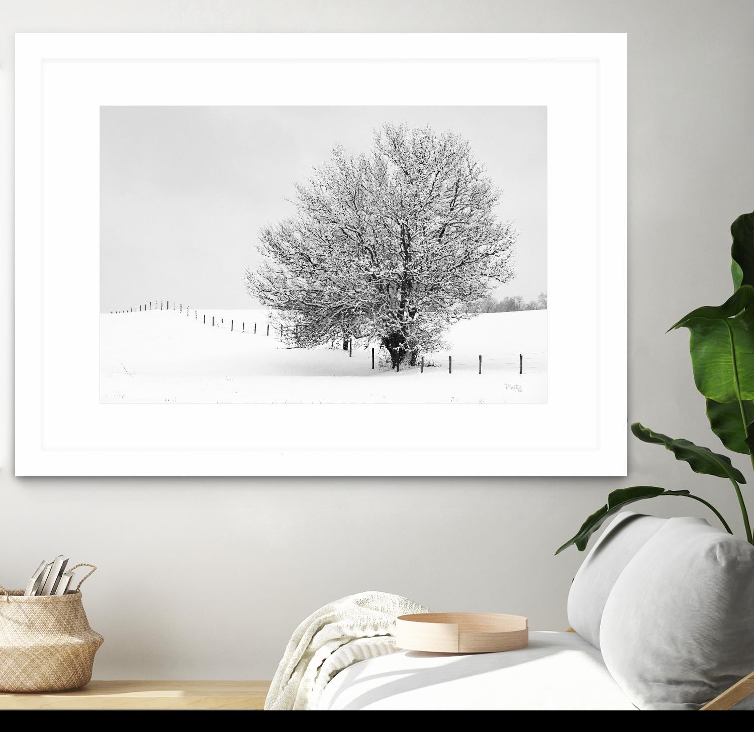 Depth of Field by Matthew Platz on GIANT ART - multicolor photography; landscapes