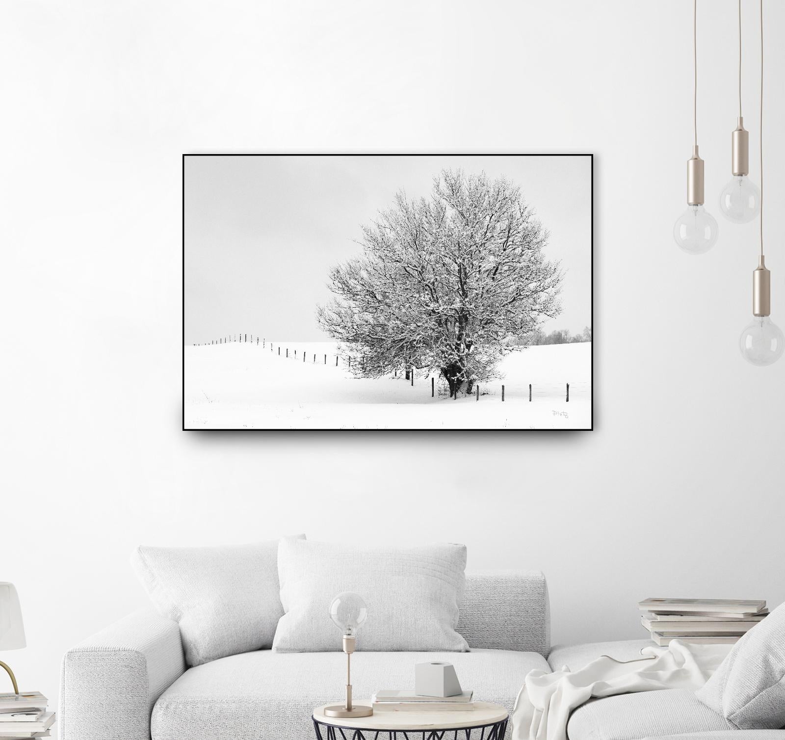 Depth of Field by Matthew Platz on GIANT ART - multicolor photography; landscapes