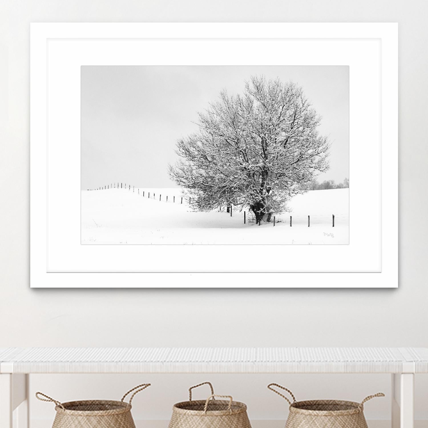 Depth of Field by Matthew Platz on GIANT ART - multicolor photography; landscapes