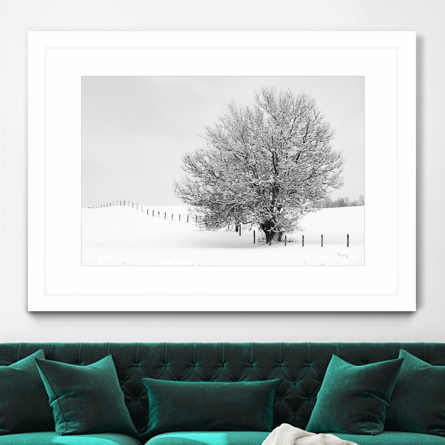 Depth of Field by Matthew Platz on GIANT ART - multicolor photography; landscapes