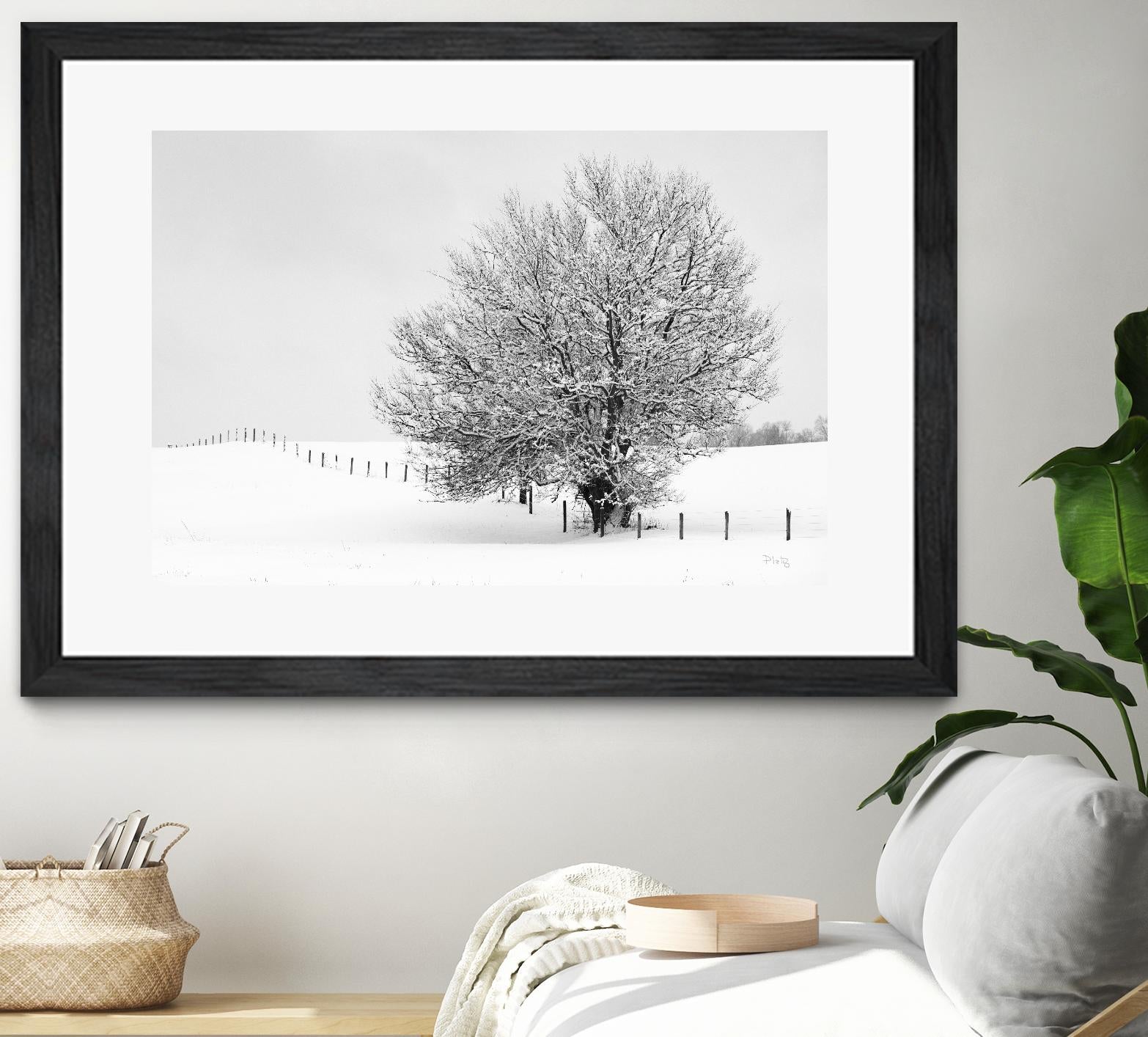 Depth of Field by Matthew Platz on GIANT ART - multicolor photography; landscapes