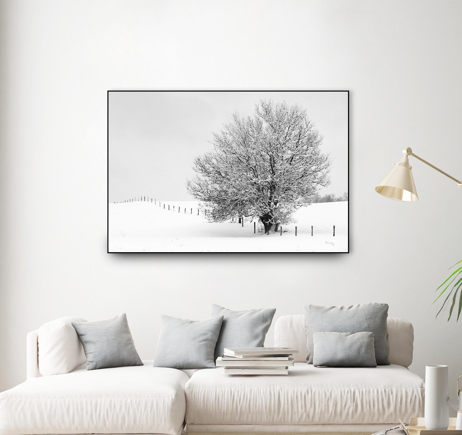 Depth of Field by Matthew Platz on GIANT ART - multicolor photography; landscapes