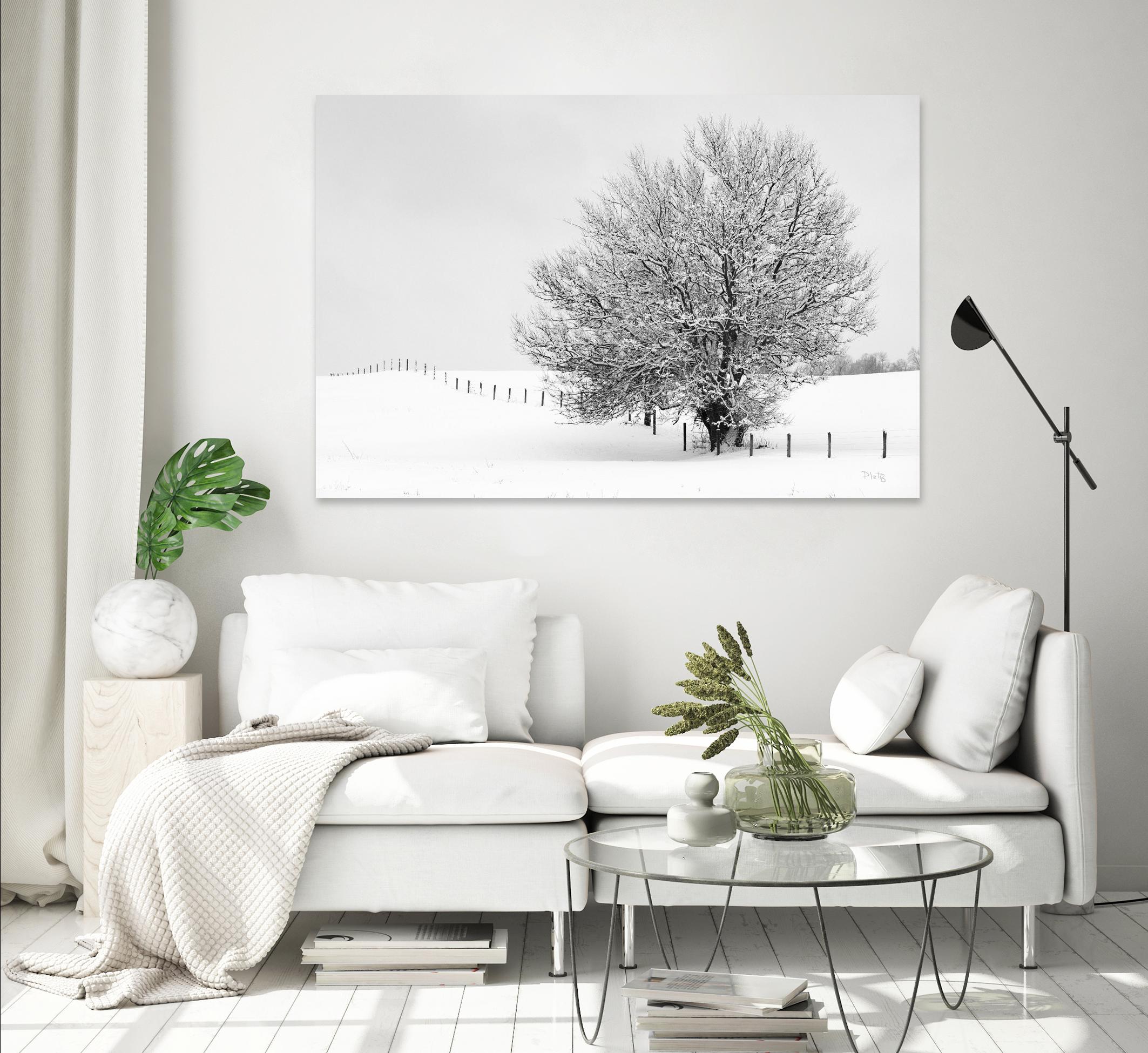 Depth of Field by Matthew Platz on GIANT ART - multicolor photography; landscapes