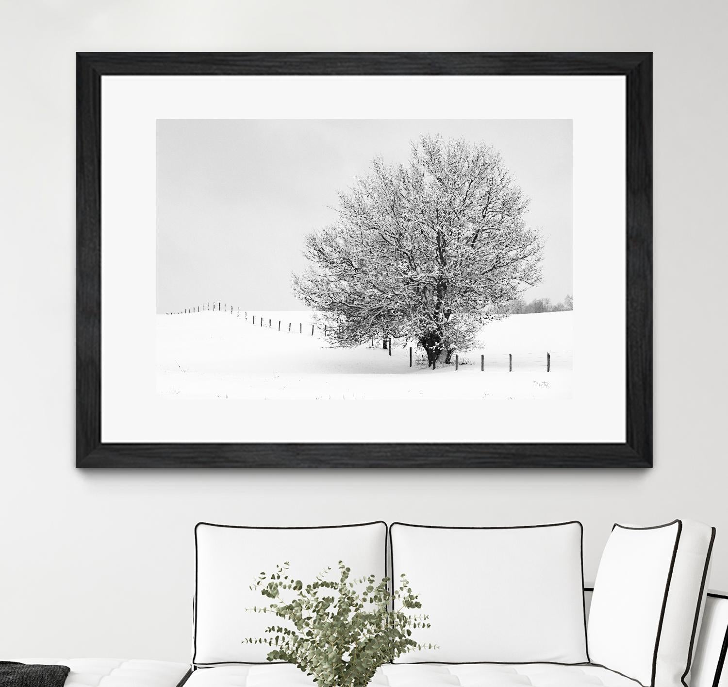 Depth of Field by Matthew Platz on GIANT ART - multicolor photography; landscapes