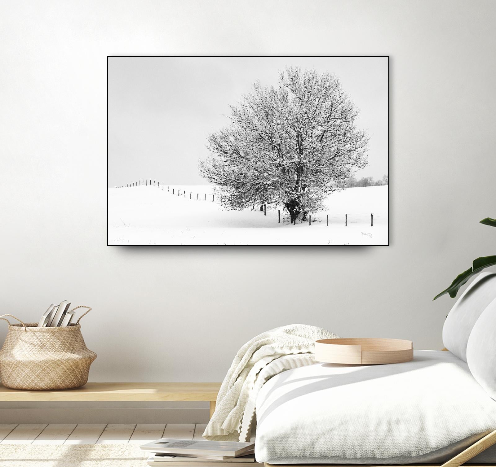 Depth of Field by Matthew Platz on GIANT ART - multicolor photography; landscapes