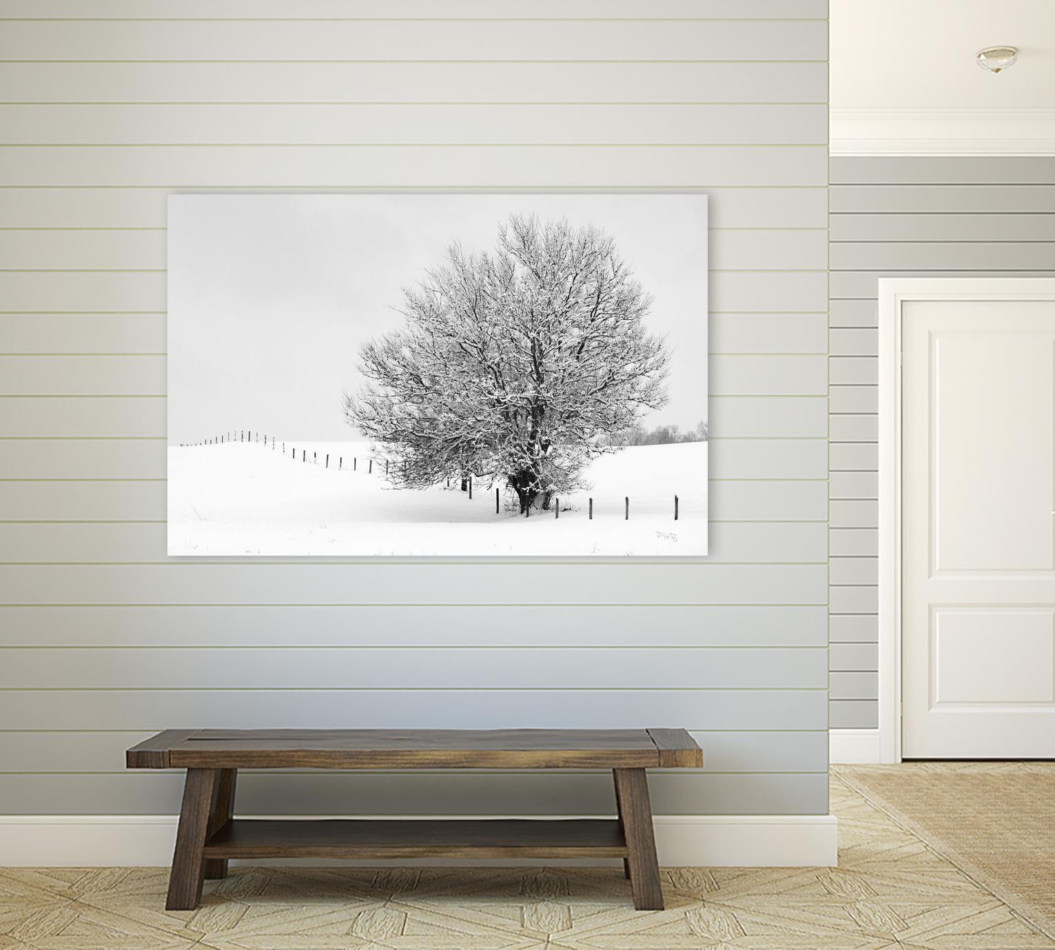 Depth of Field by Matthew Platz on GIANT ART - multicolor photography; landscapes