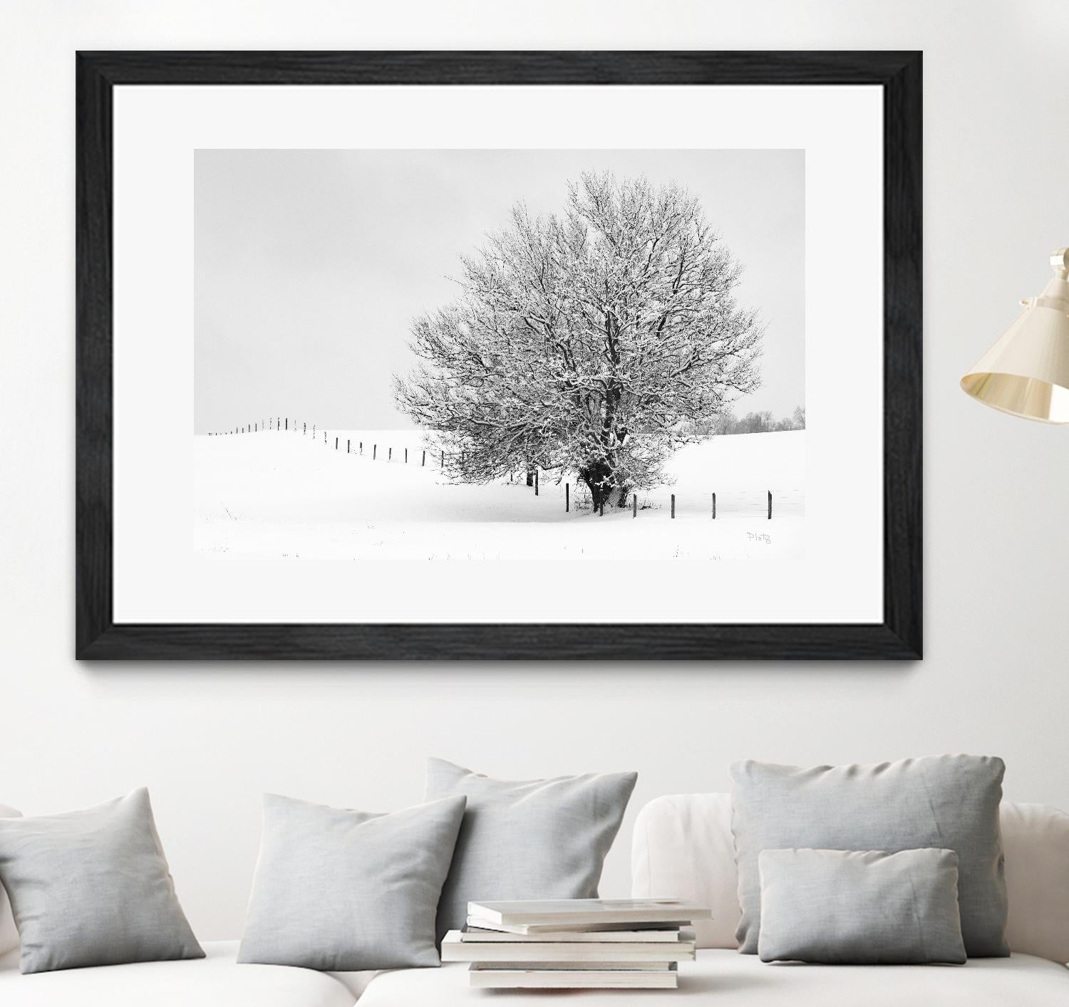 Depth of Field by Matthew Platz on GIANT ART - multicolor photography; landscapes