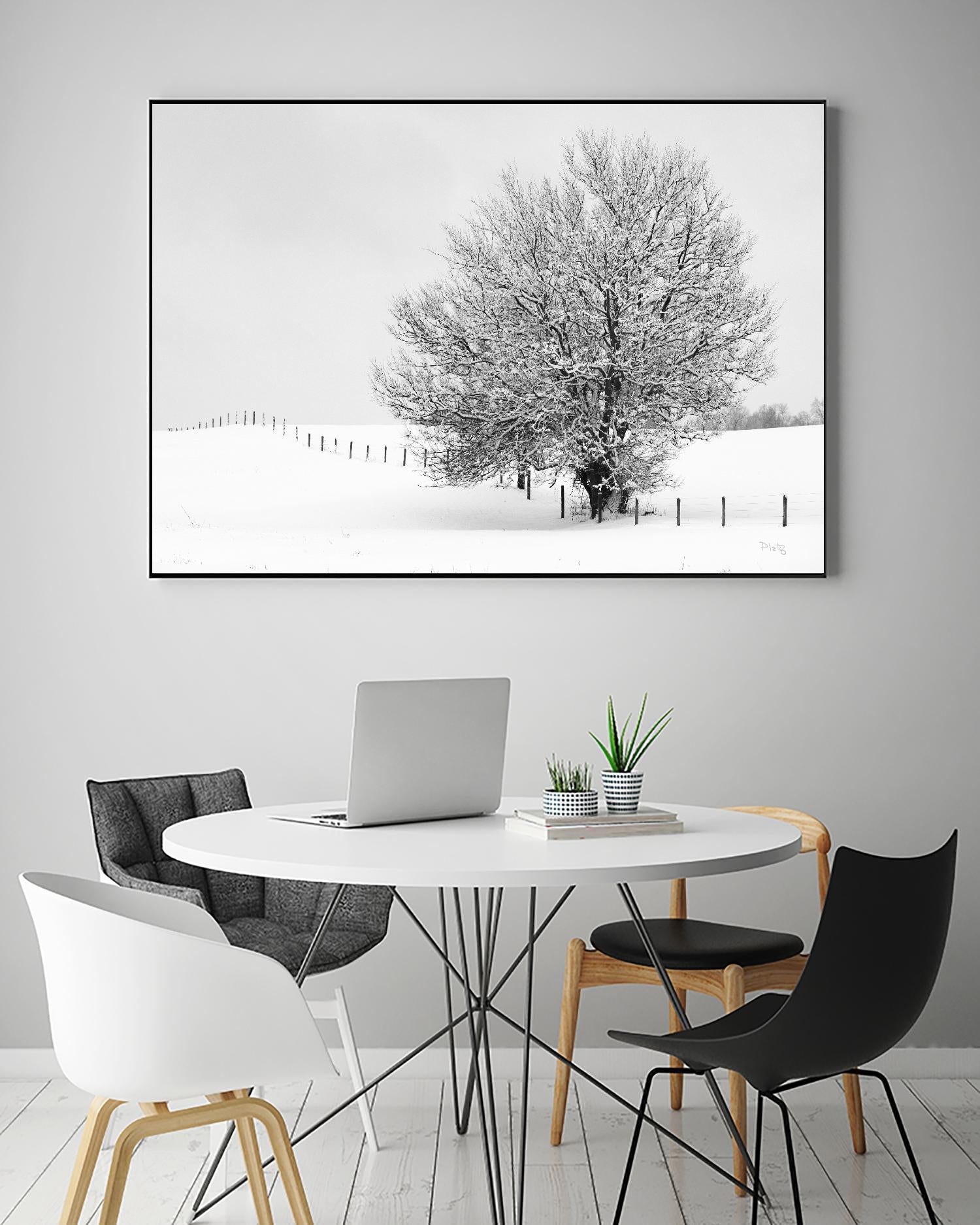 Depth of Field by Matthew Platz on GIANT ART - multicolor photography; landscapes