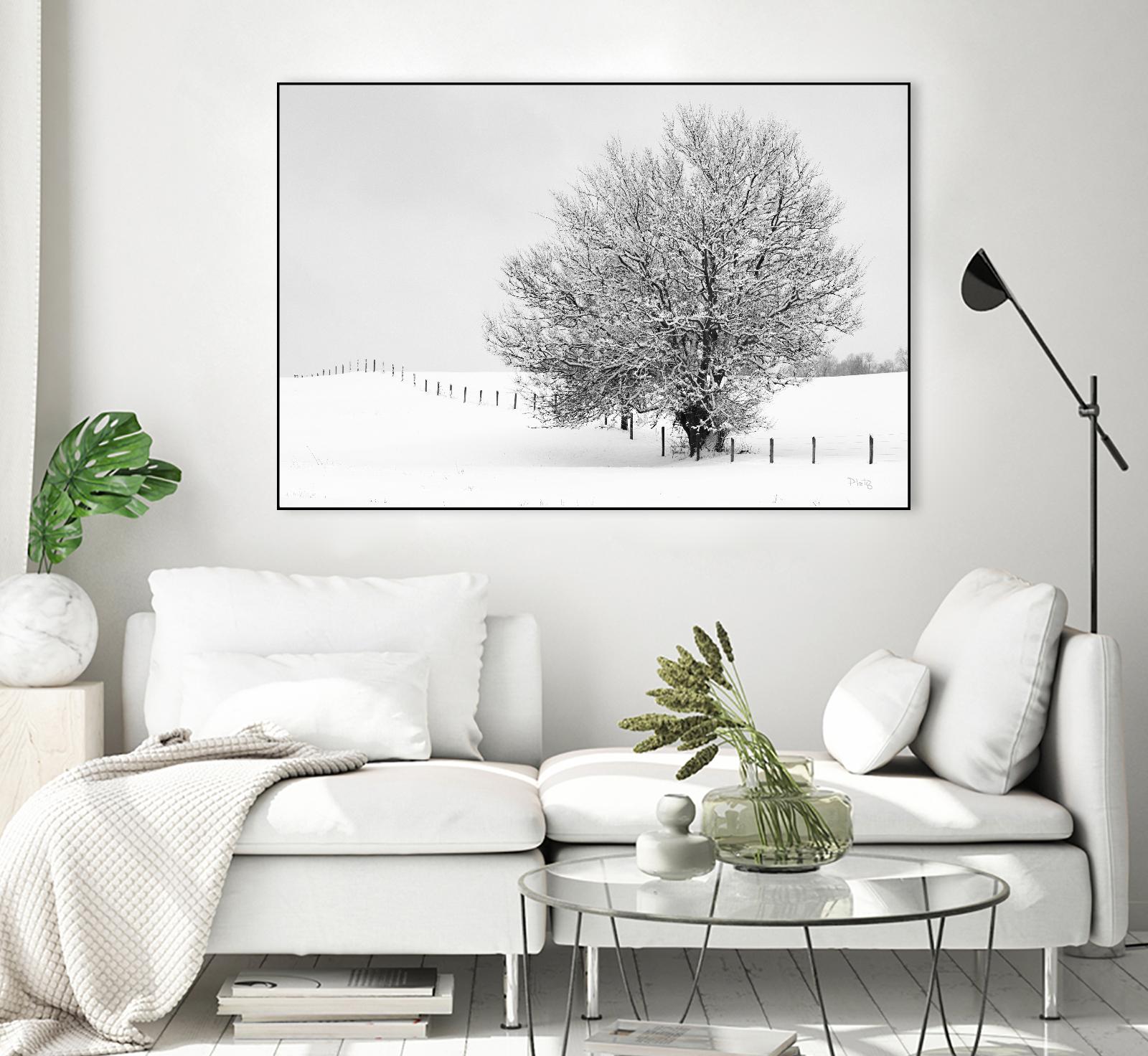 Depth of Field by Matthew Platz on GIANT ART - multicolor photography; landscapes