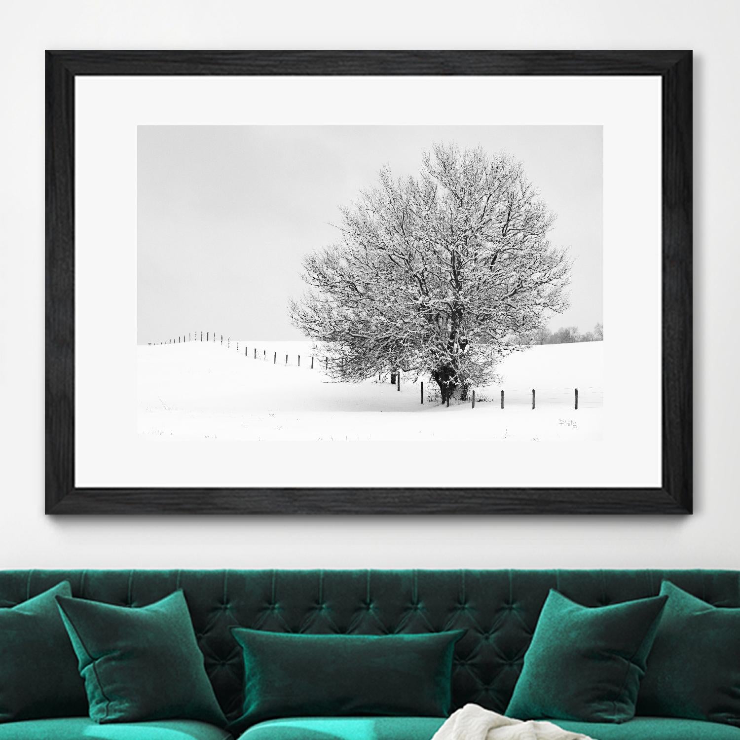 Depth of Field by Matthew Platz on GIANT ART - multicolor photography; landscapes