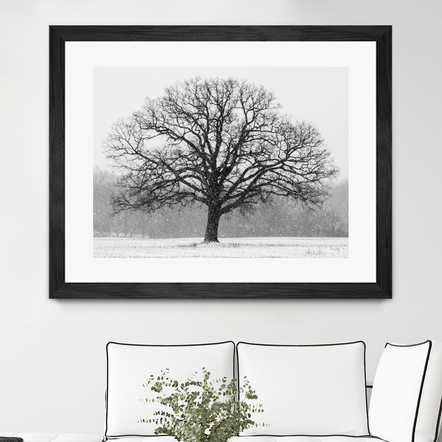 Old Man Winter by Matthew Platz on GIANT ART - multicolor photography; landscapes