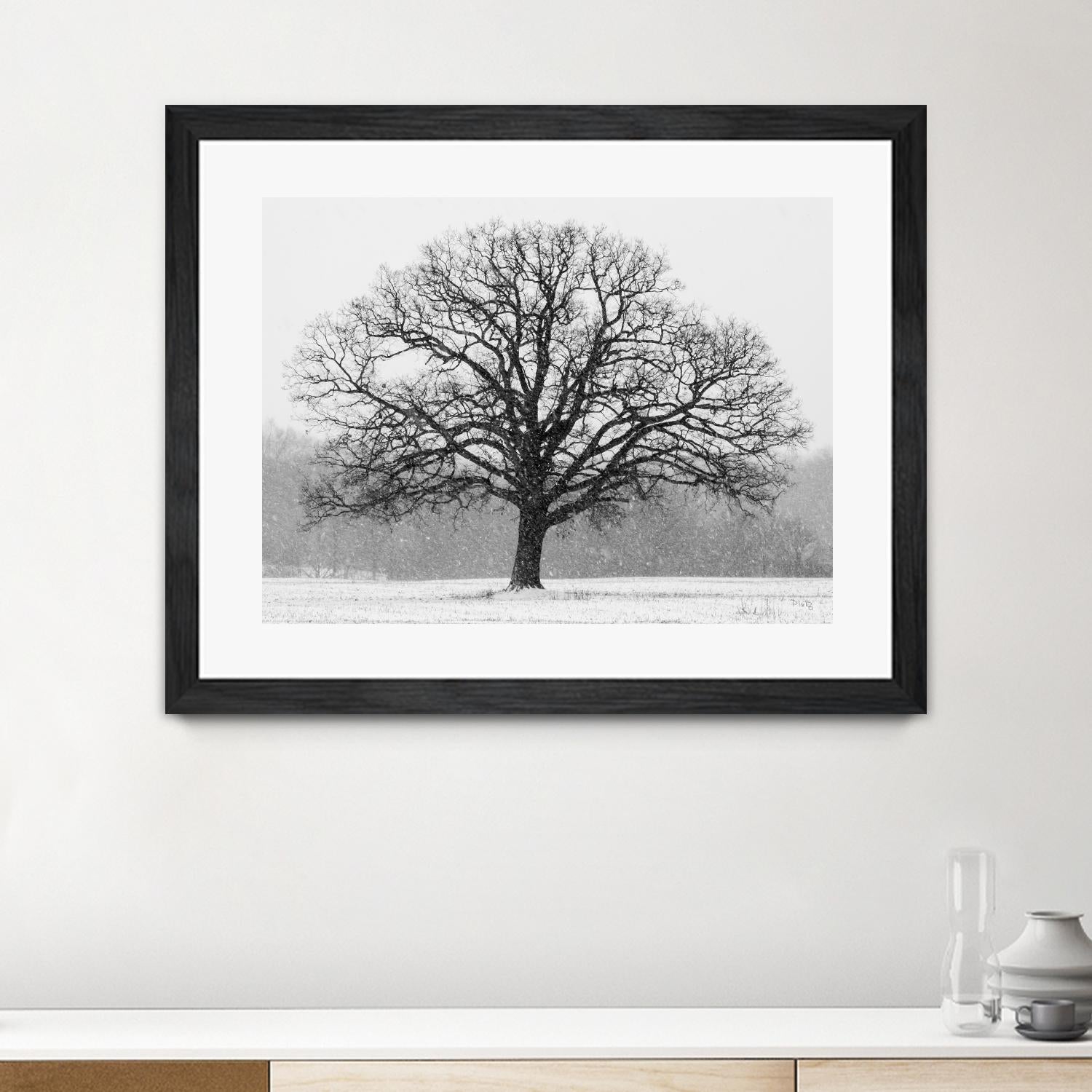 Old Man Winter by Matthew Platz on GIANT ART - multicolor photography; landscapes