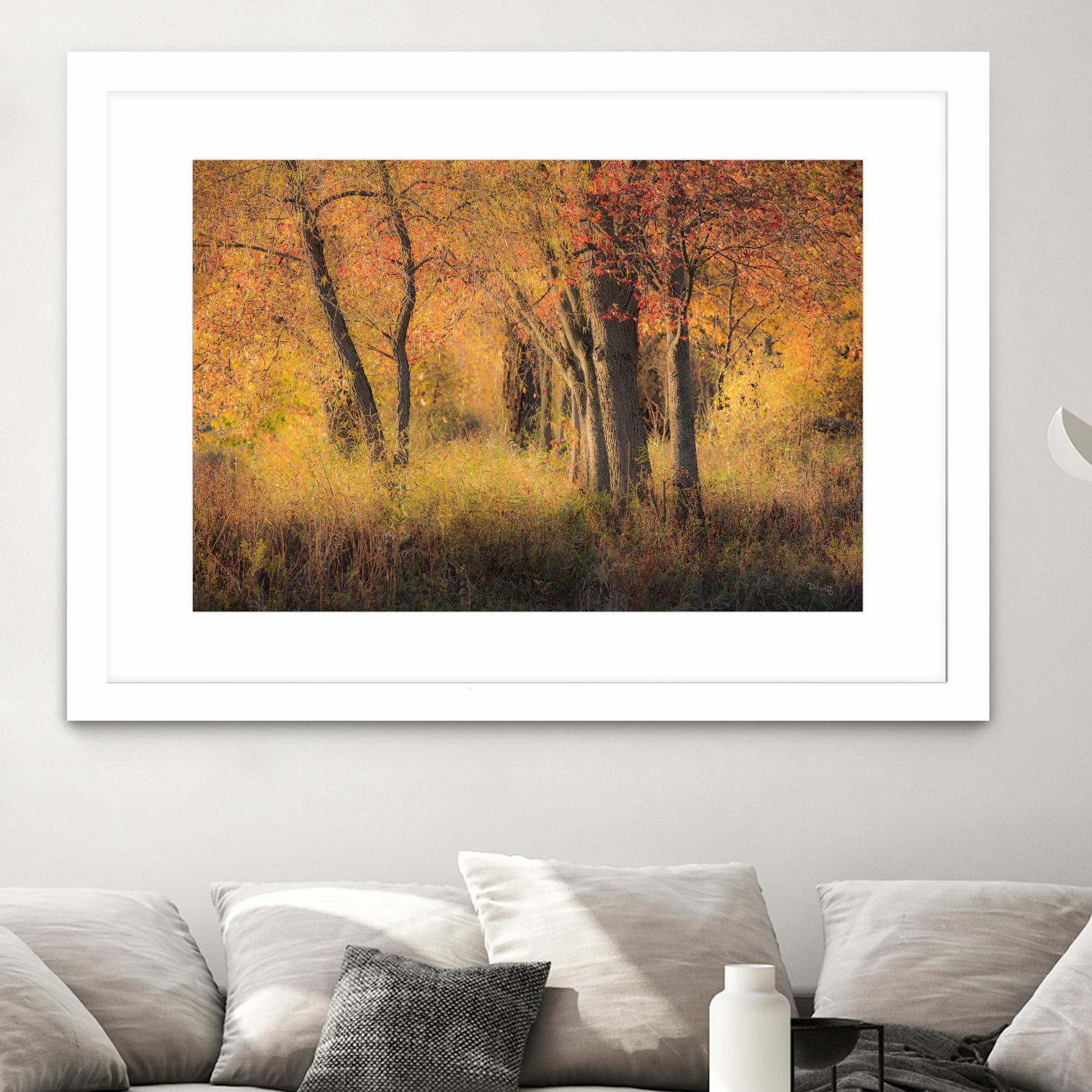 The Other Side by Matthew Platz on GIANT ART - multicolor photography; landscapes