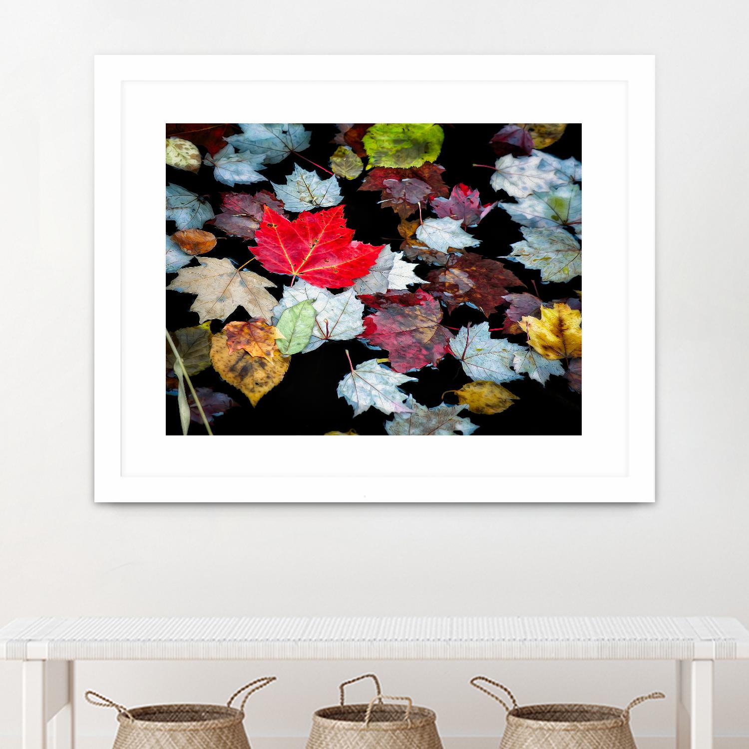 Autumn Leaves by David W. Pollard on GIANT ART - multicolor photography; contemporary