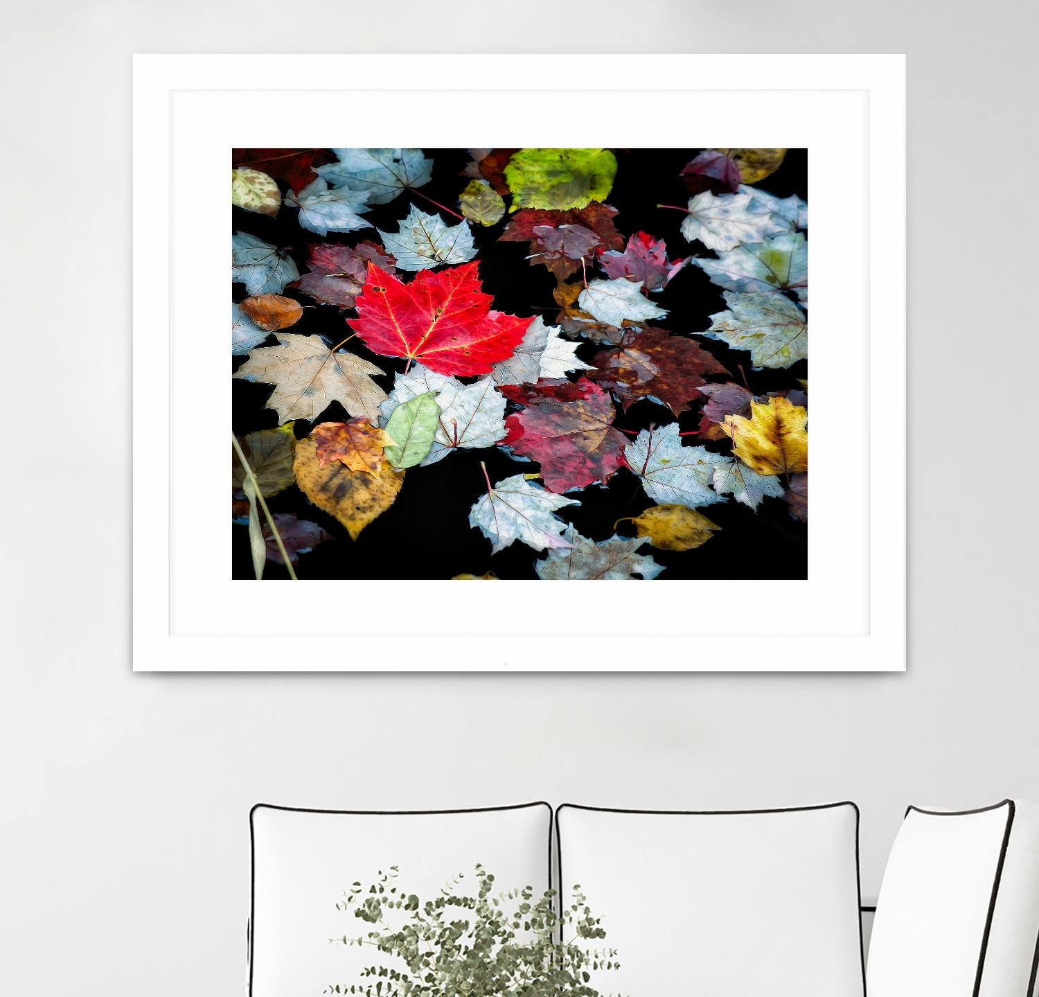 Autumn Leaves by David W. Pollard on GIANT ART - multicolor photography; contemporary