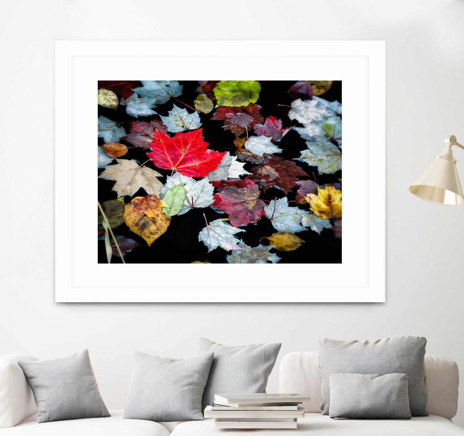 Autumn Leaves by David W. Pollard on GIANT ART - multicolor photography; contemporary