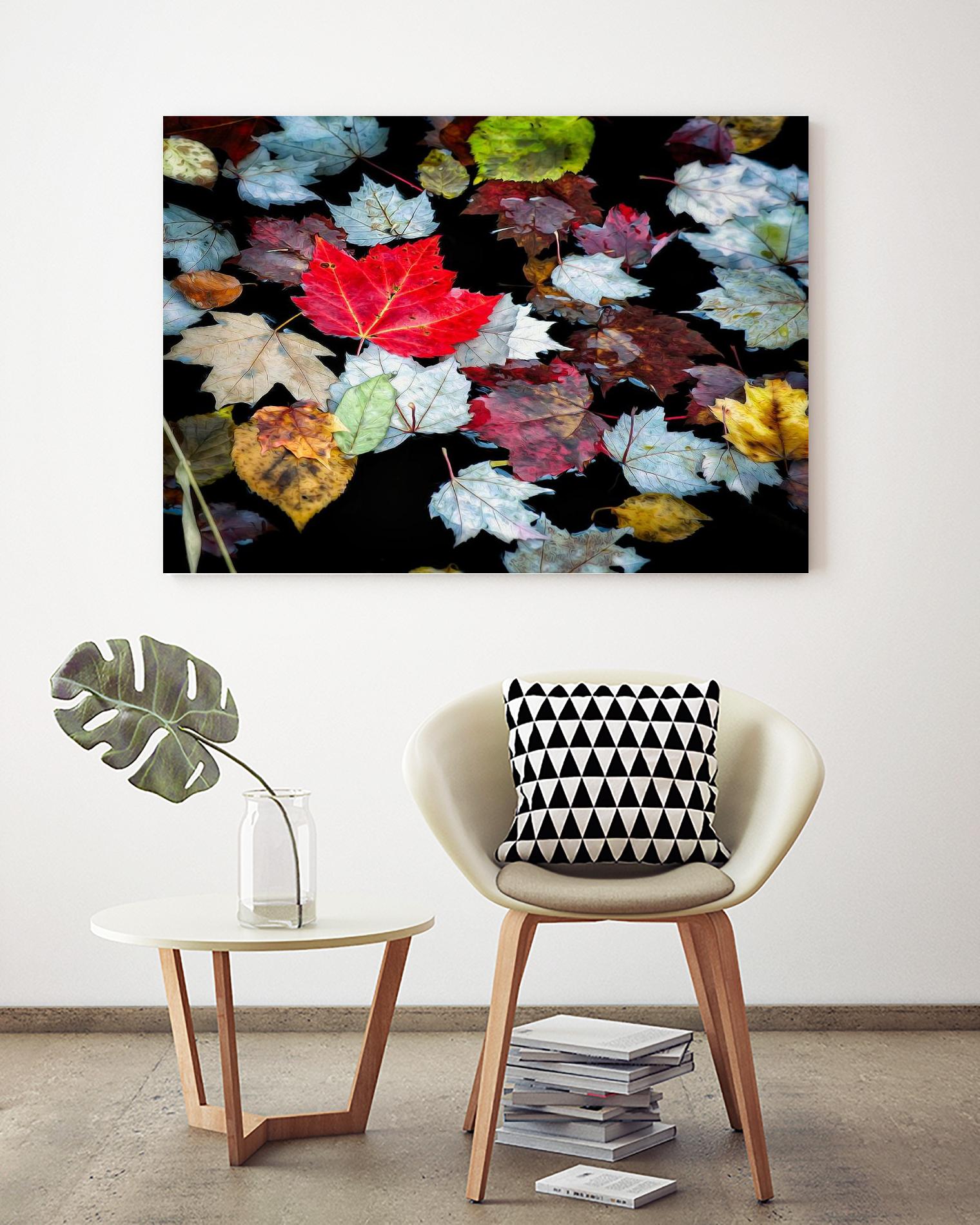 Autumn Leaves by David W. Pollard on GIANT ART - multicolor photography; contemporary