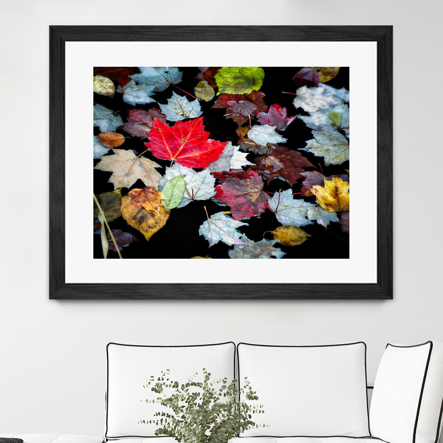 Autumn Leaves by David W. Pollard on GIANT ART - multicolor photography; contemporary