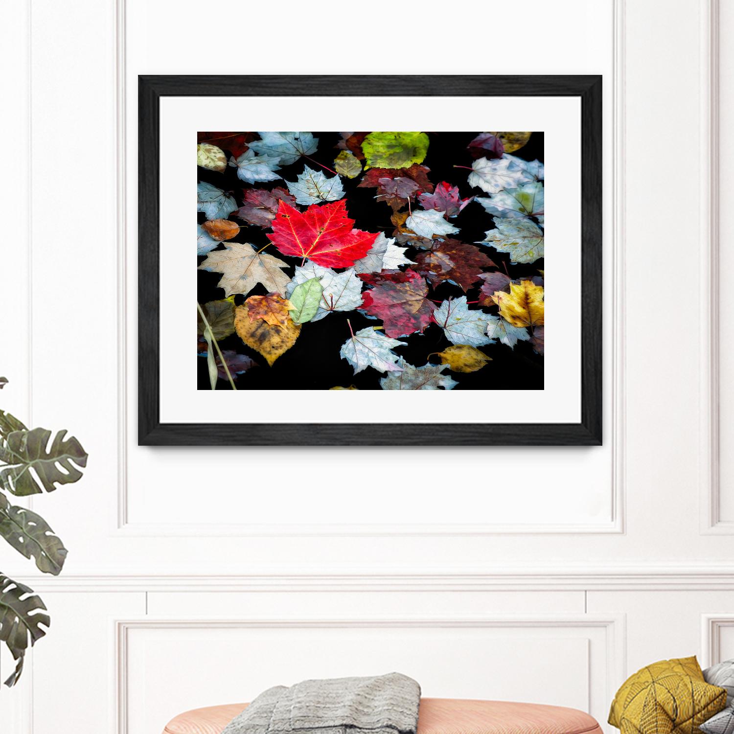 Autumn Leaves by David W. Pollard on GIANT ART - multicolor photography; contemporary