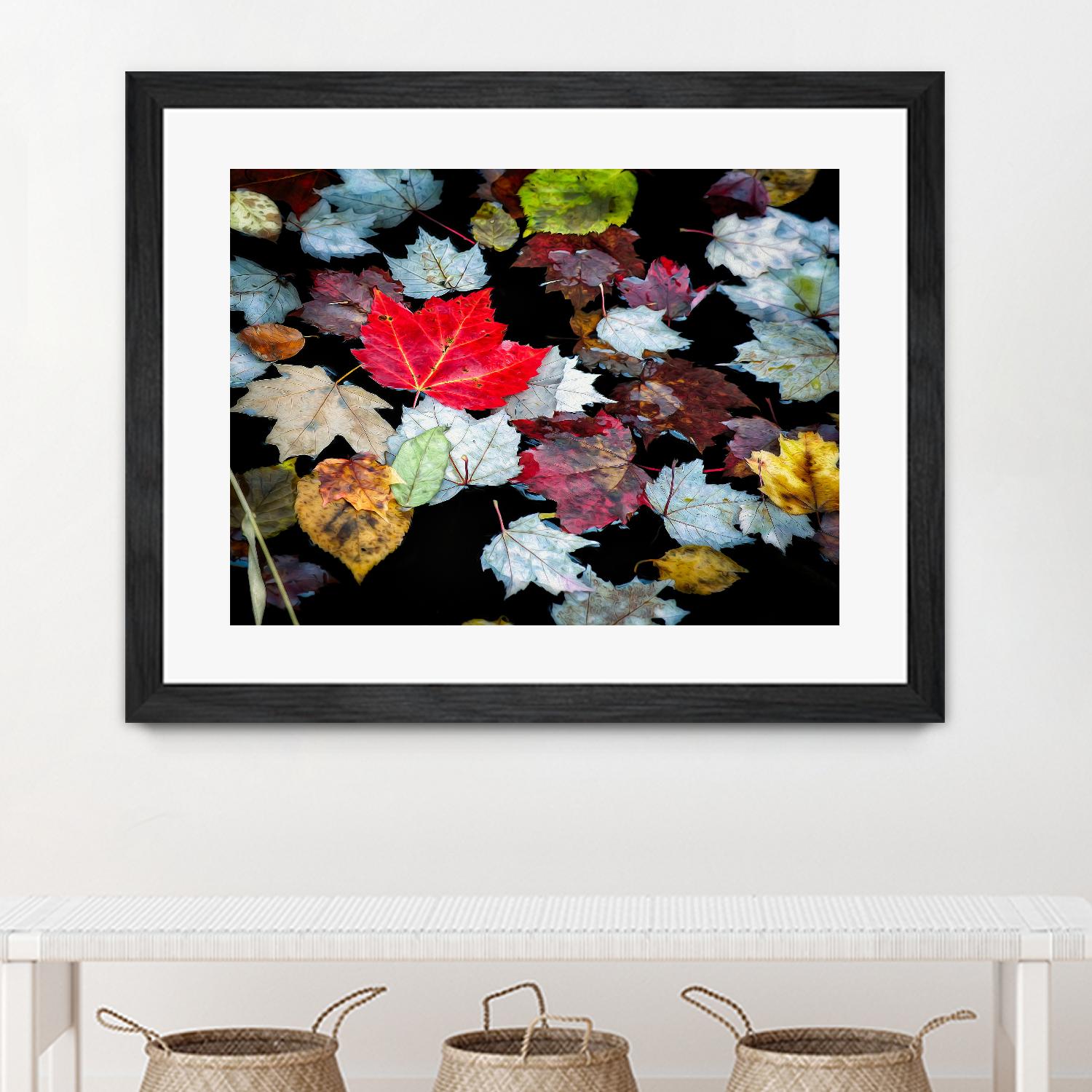 Autumn Leaves by David W. Pollard on GIANT ART - multicolor photography; contemporary