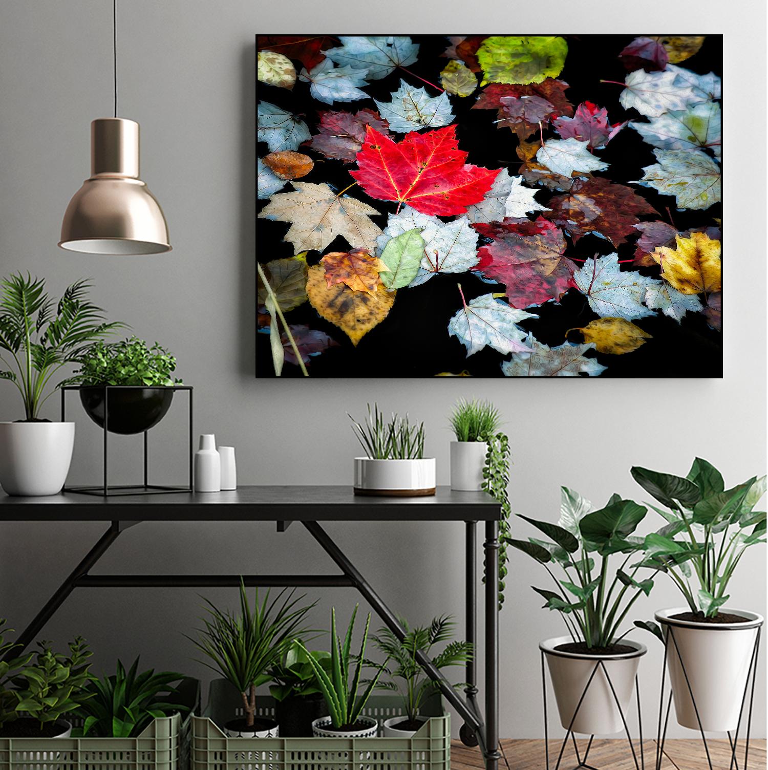 Autumn Leaves by David W. Pollard on GIANT ART - multicolor photography; contemporary