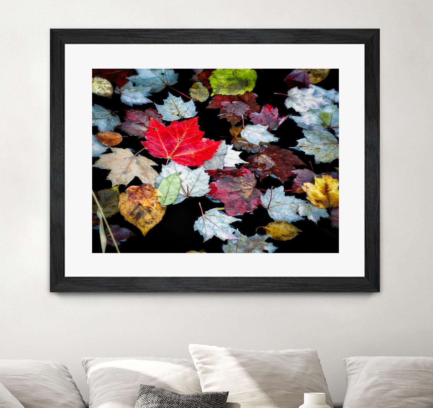 Autumn Leaves by David W. Pollard on GIANT ART - multicolor photography; contemporary