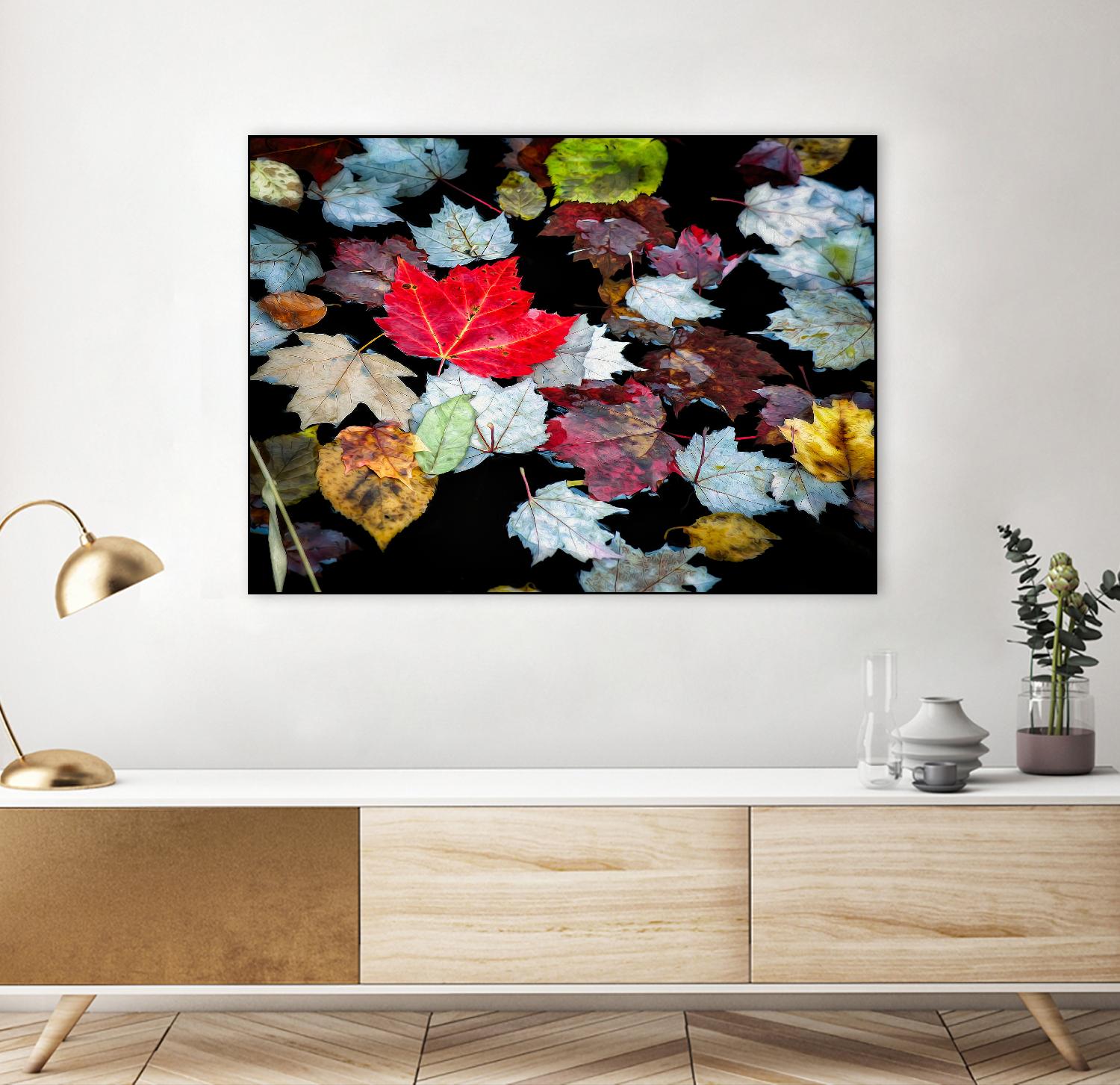 Autumn Leaves by David W. Pollard on GIANT ART - multicolor photography; contemporary