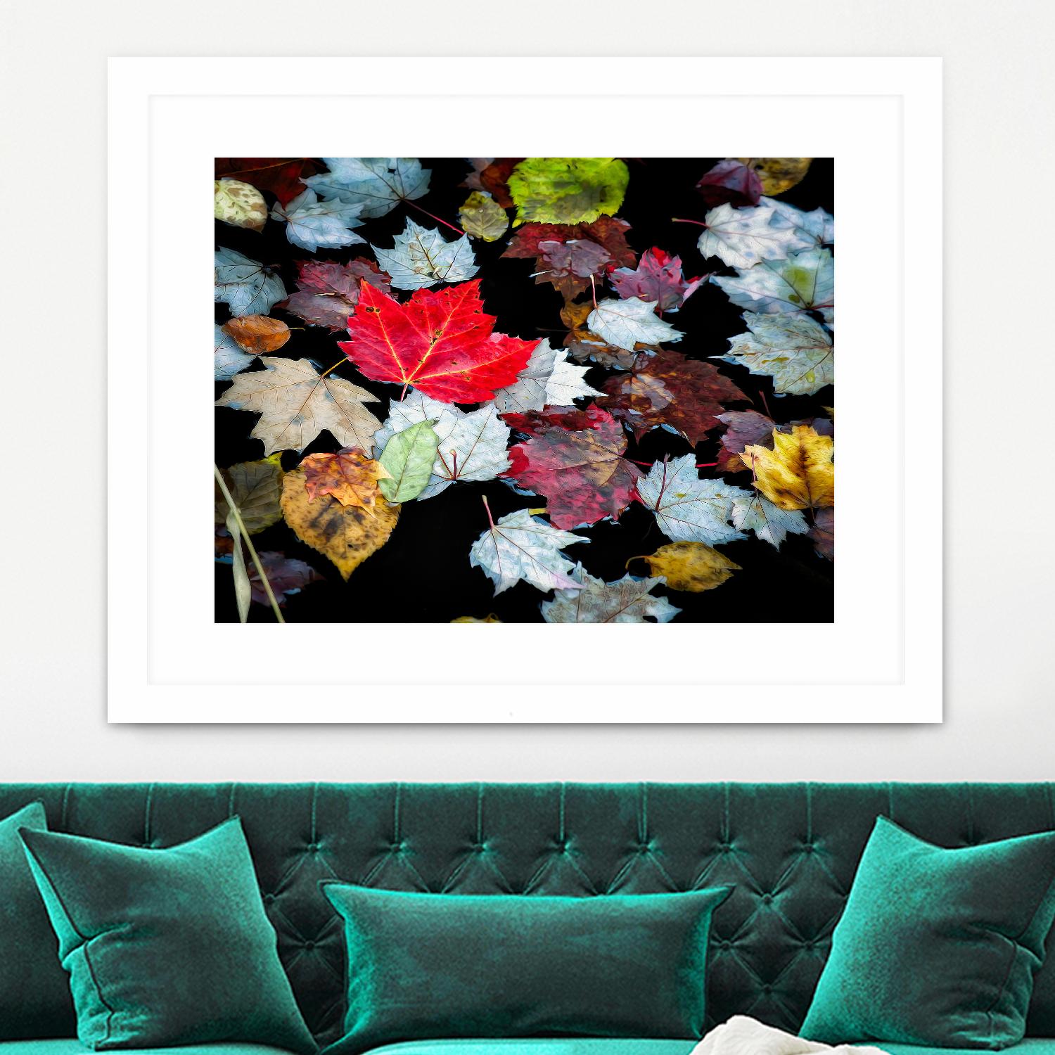 Autumn Leaves by David W. Pollard on GIANT ART - multicolor photography; contemporary