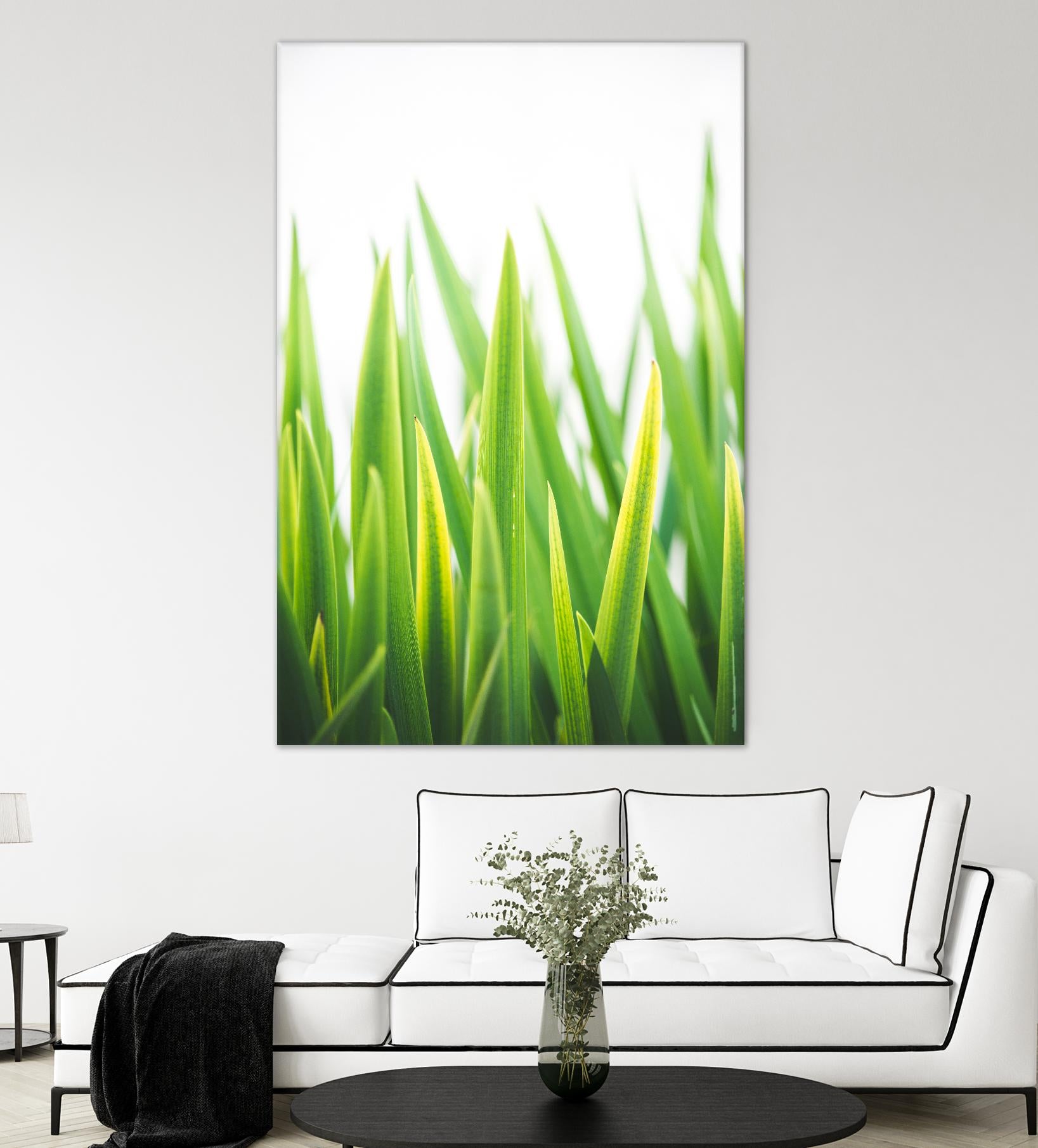 Blades of Green No. 2 by Sonja Quintero on GIANT ART - green floral/still life, photography