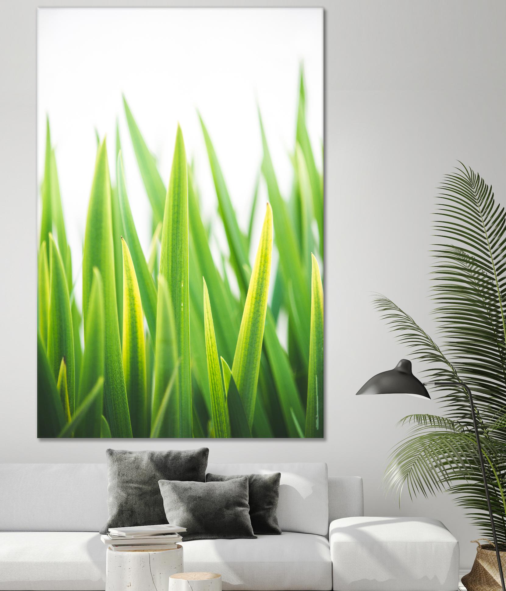 Blades of Green No. 2 by Sonja Quintero on GIANT ART - green floral/still life, photography