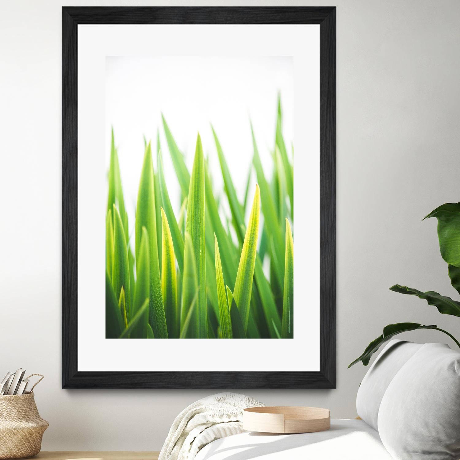 Blades of Green No. 2 by Sonja Quintero on GIANT ART - green floral/still life, photography