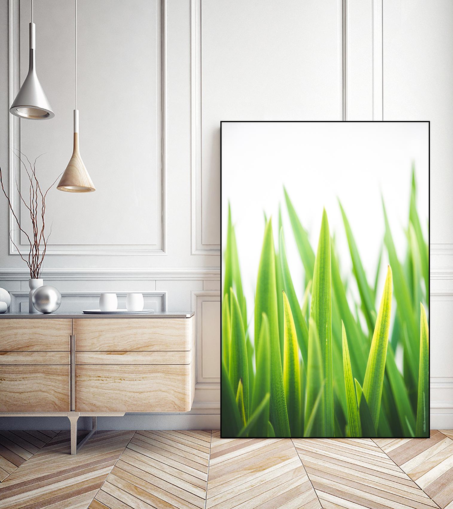 Blades of Green No. 2 by Sonja Quintero on GIANT ART - green floral/still life, photography