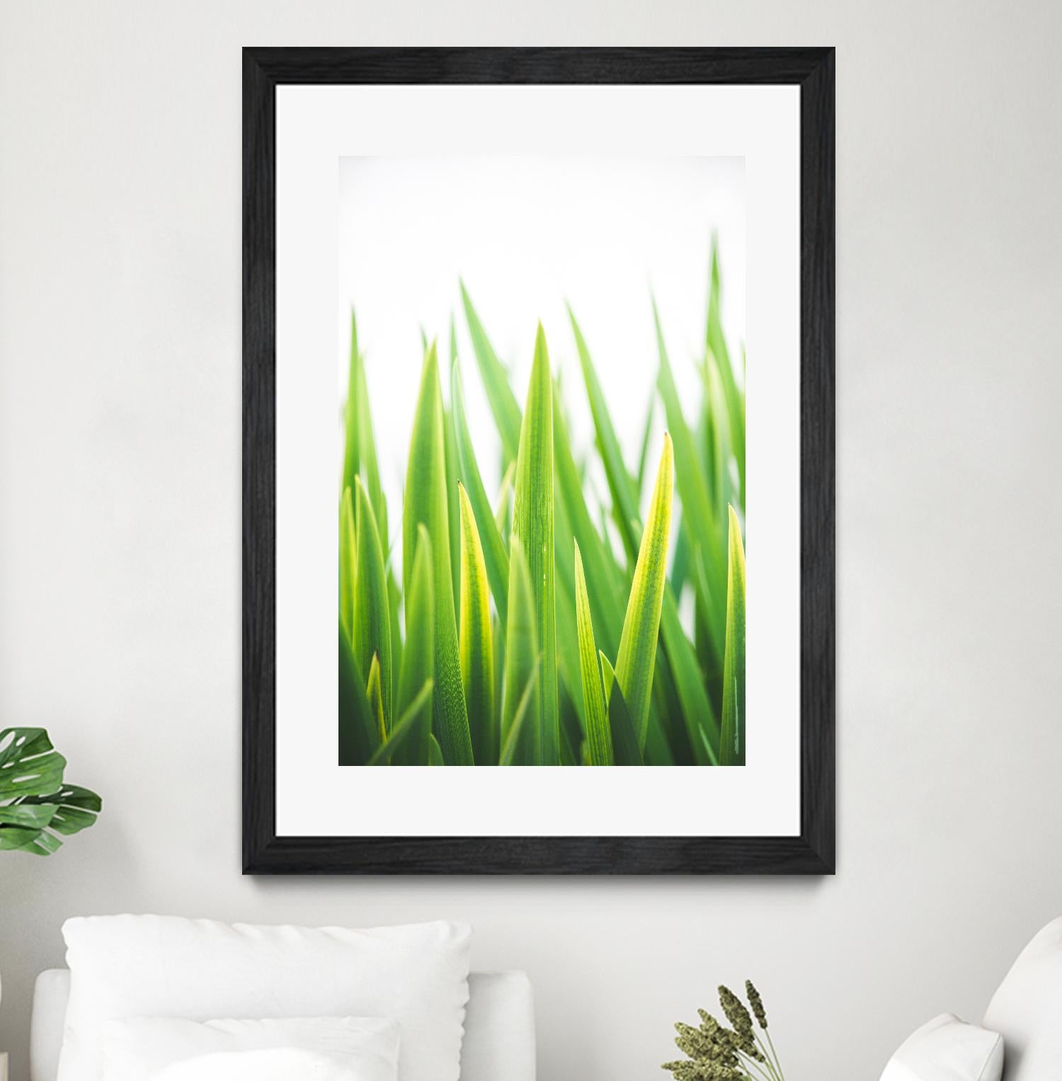 Blades of Green No. 2 by Sonja Quintero on GIANT ART - green floral/still life, photography