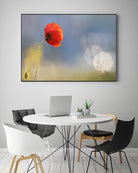 Echoes by Roeselien Raimond on GIANT ART - multicolor photography; floral/still life; landscapes