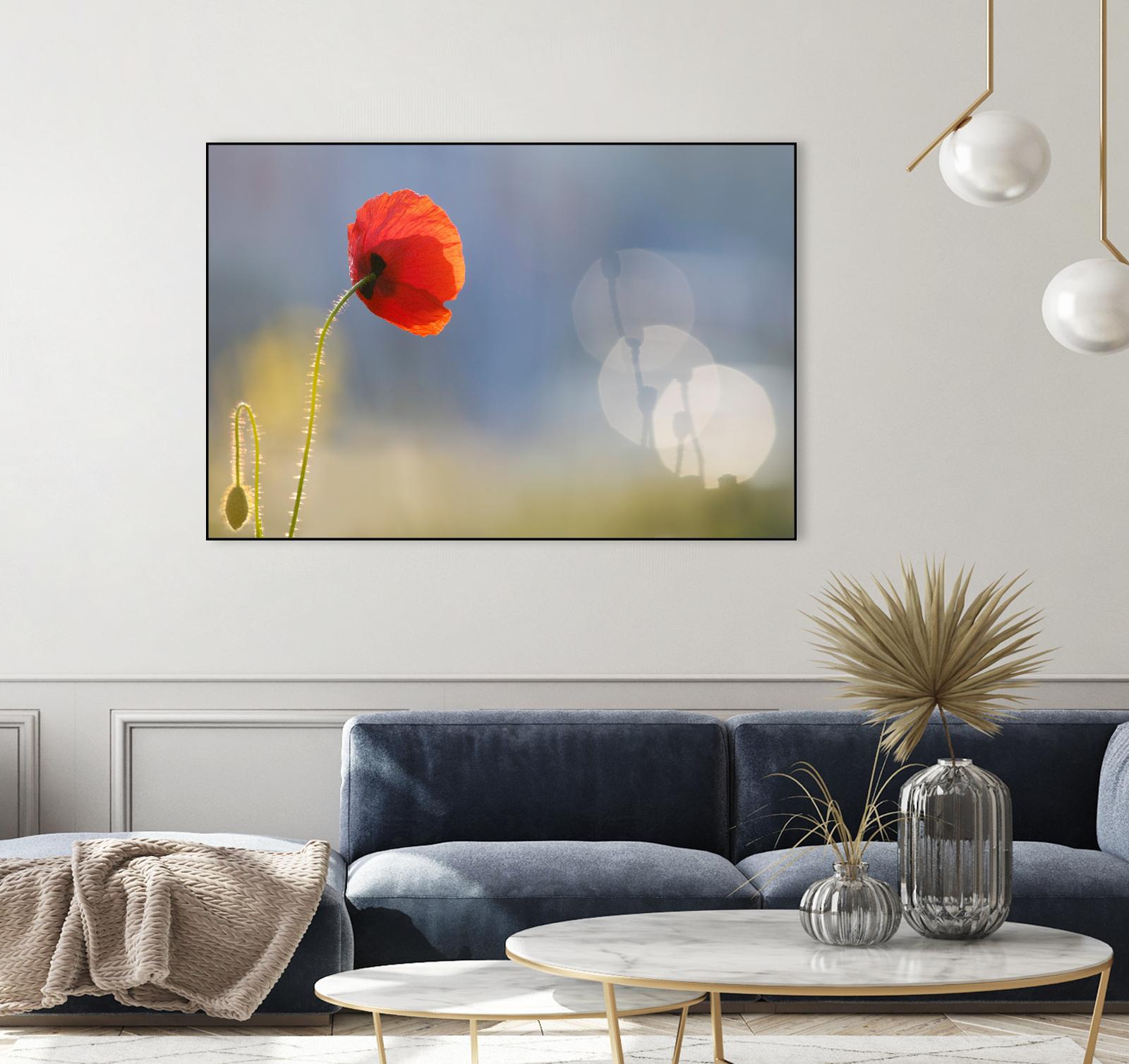Echoes by Roeselien Raimond on GIANT ART - multicolor photography; floral/still life; landscapes