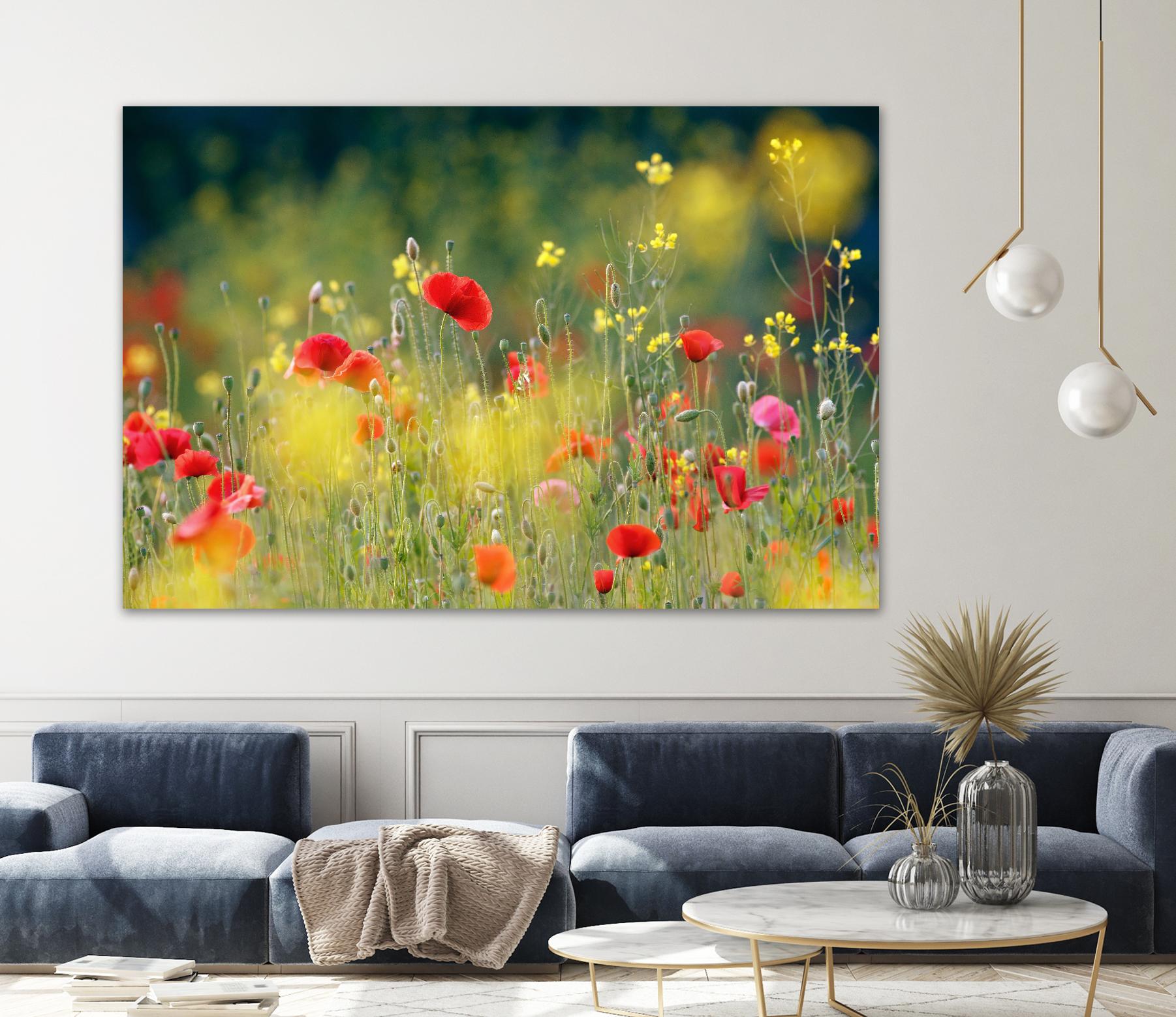 Just a Perfect Day by Roeselien Raimond on GIANT ART - multicolor photography; floral/still life; landscapes