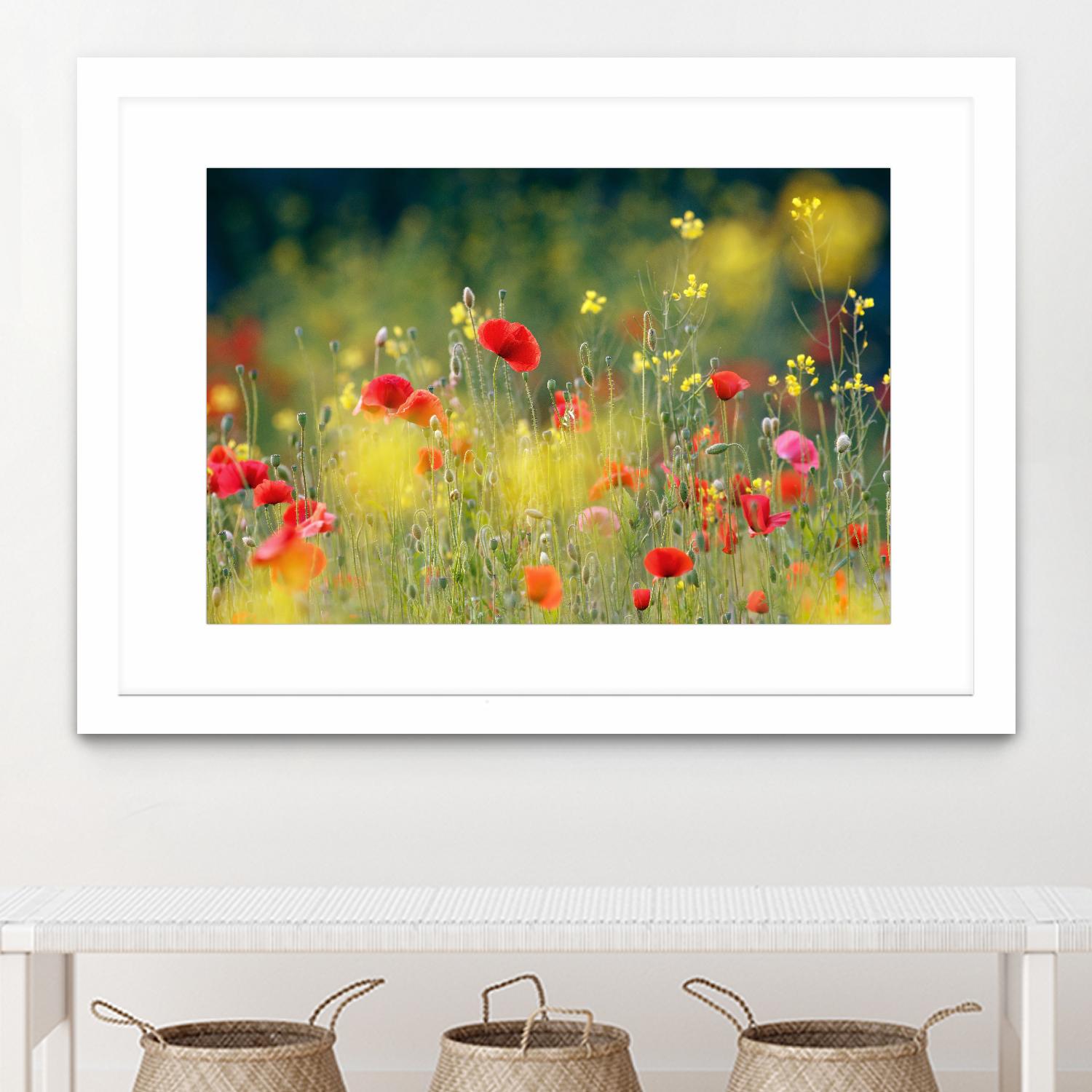 Just a Perfect Day by Roeselien Raimond on GIANT ART - multicolor photography; floral/still life; landscapes